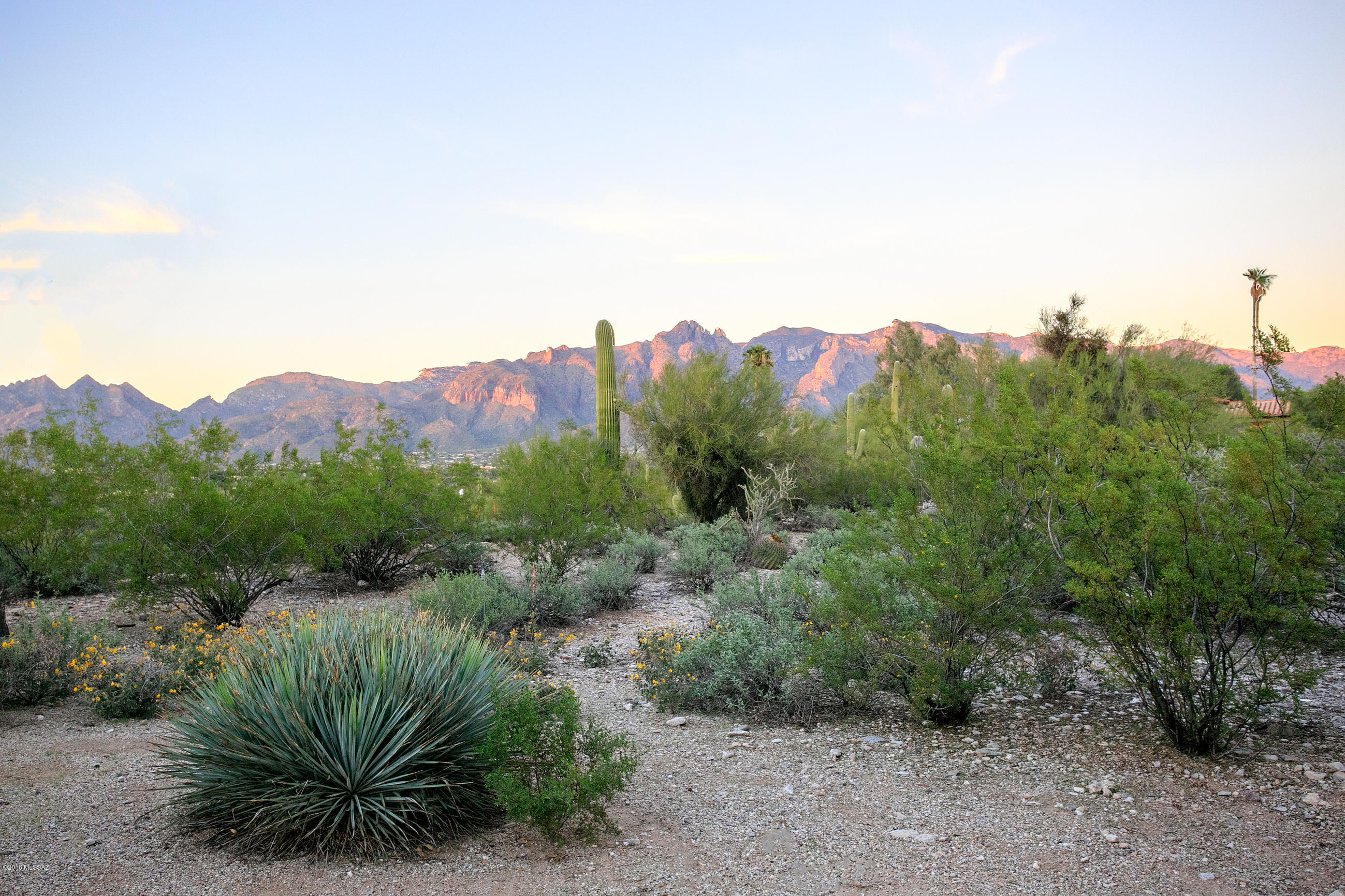 Catalina Foothills Estates - Residential