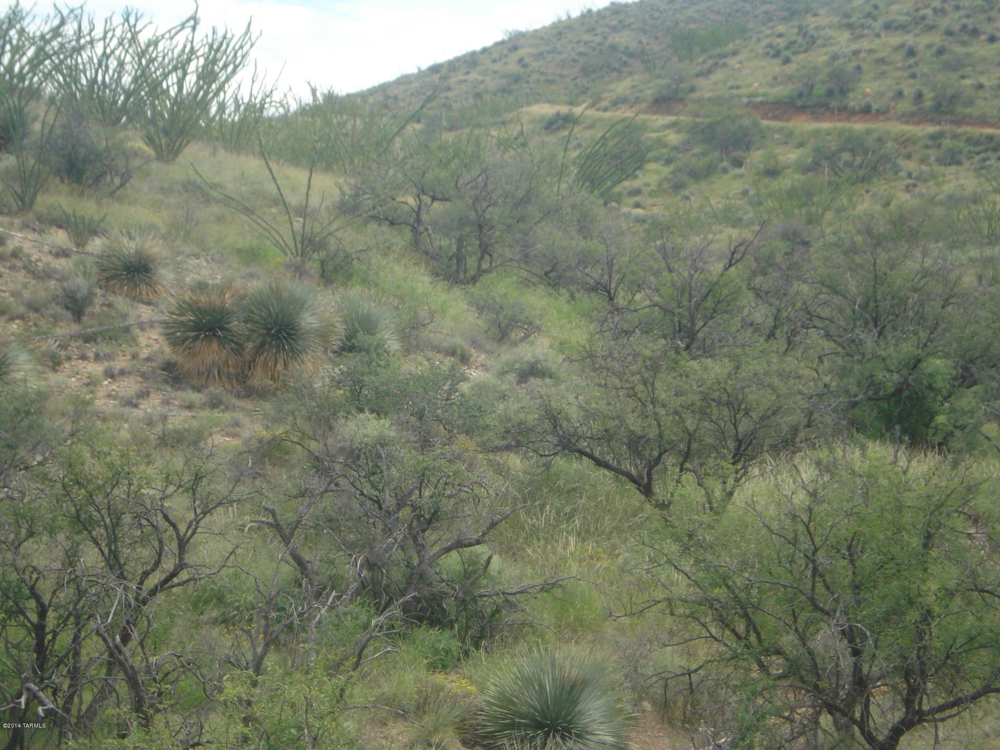 Beautiful lot in the Foothills of the Santa Rita Mountains. At he end of the road. Borders Coronado National Forest land. Very quiet and secluded yet not far from town. Can be purchased alone or combined with the adjoining Lot B.
Owner willing to carry OAC.