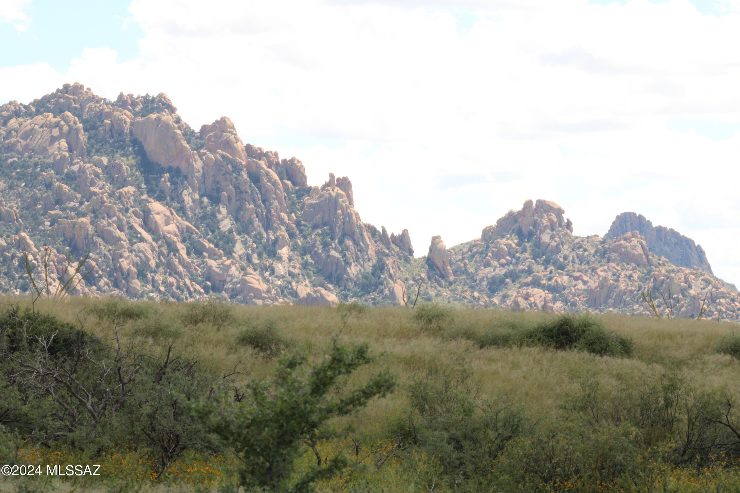 Dragoon Mountain Ranch - Land