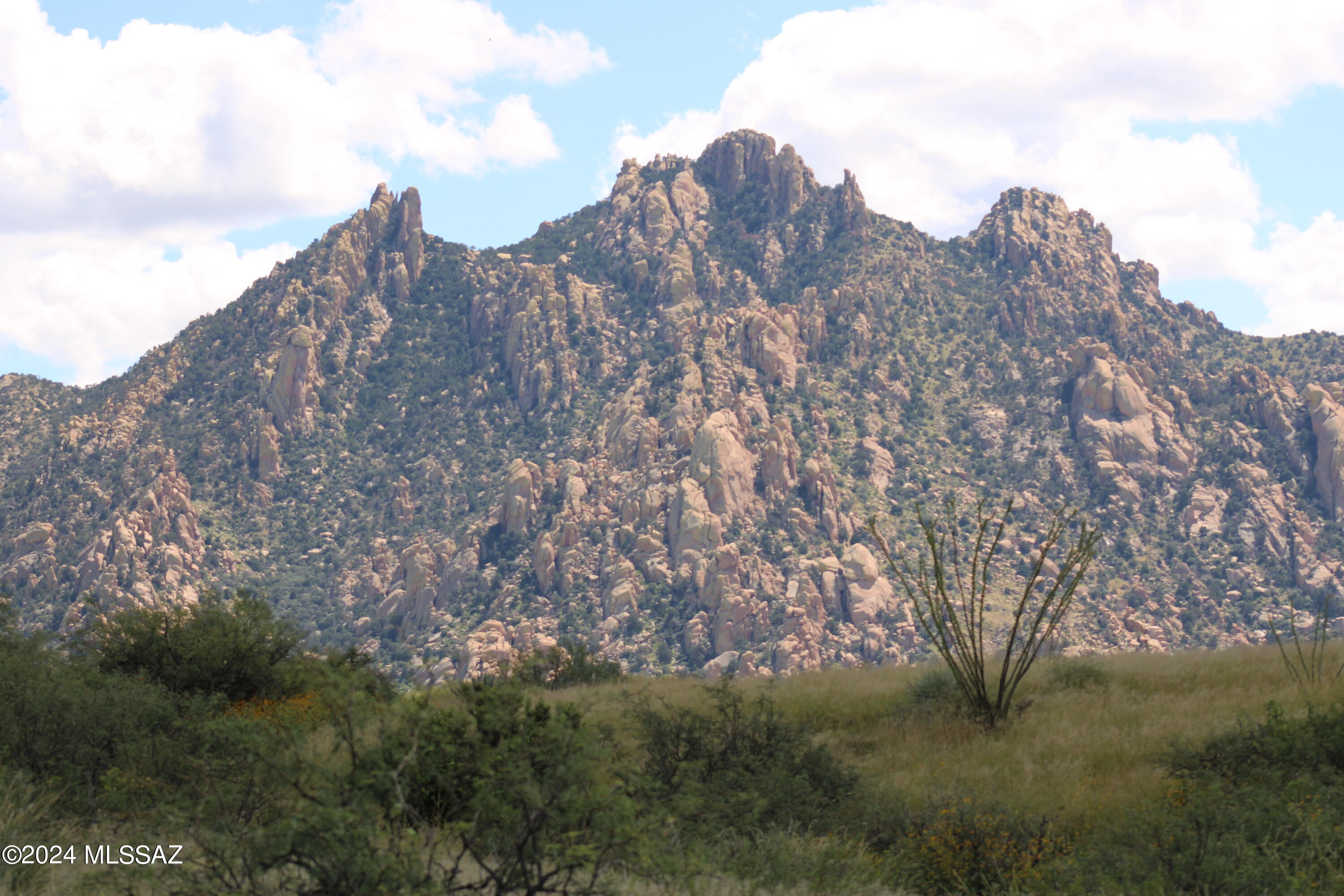 Dragoon Mountain Ranch - Land