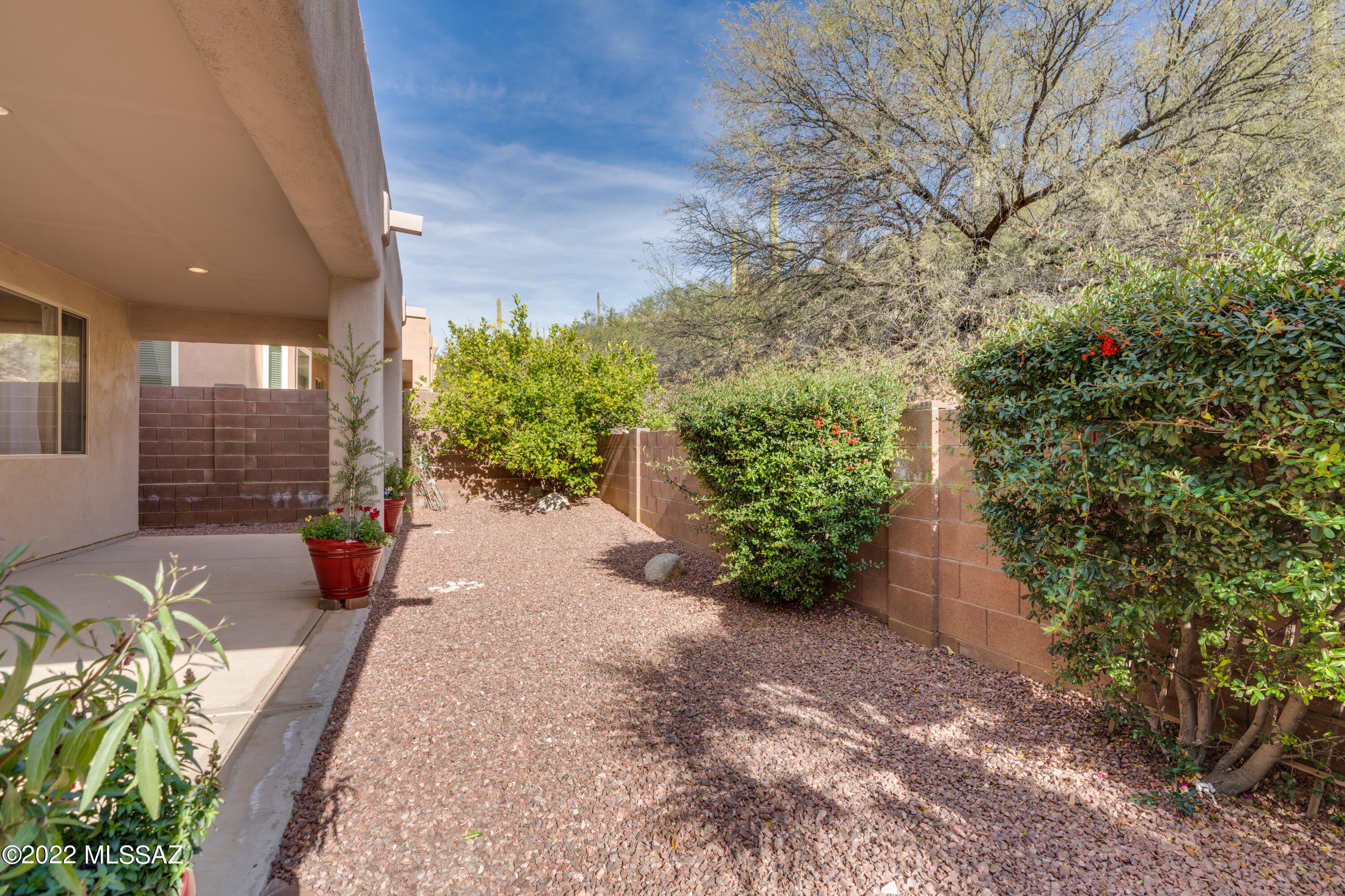 Sabino Mountain (1-290) - Residential Lease