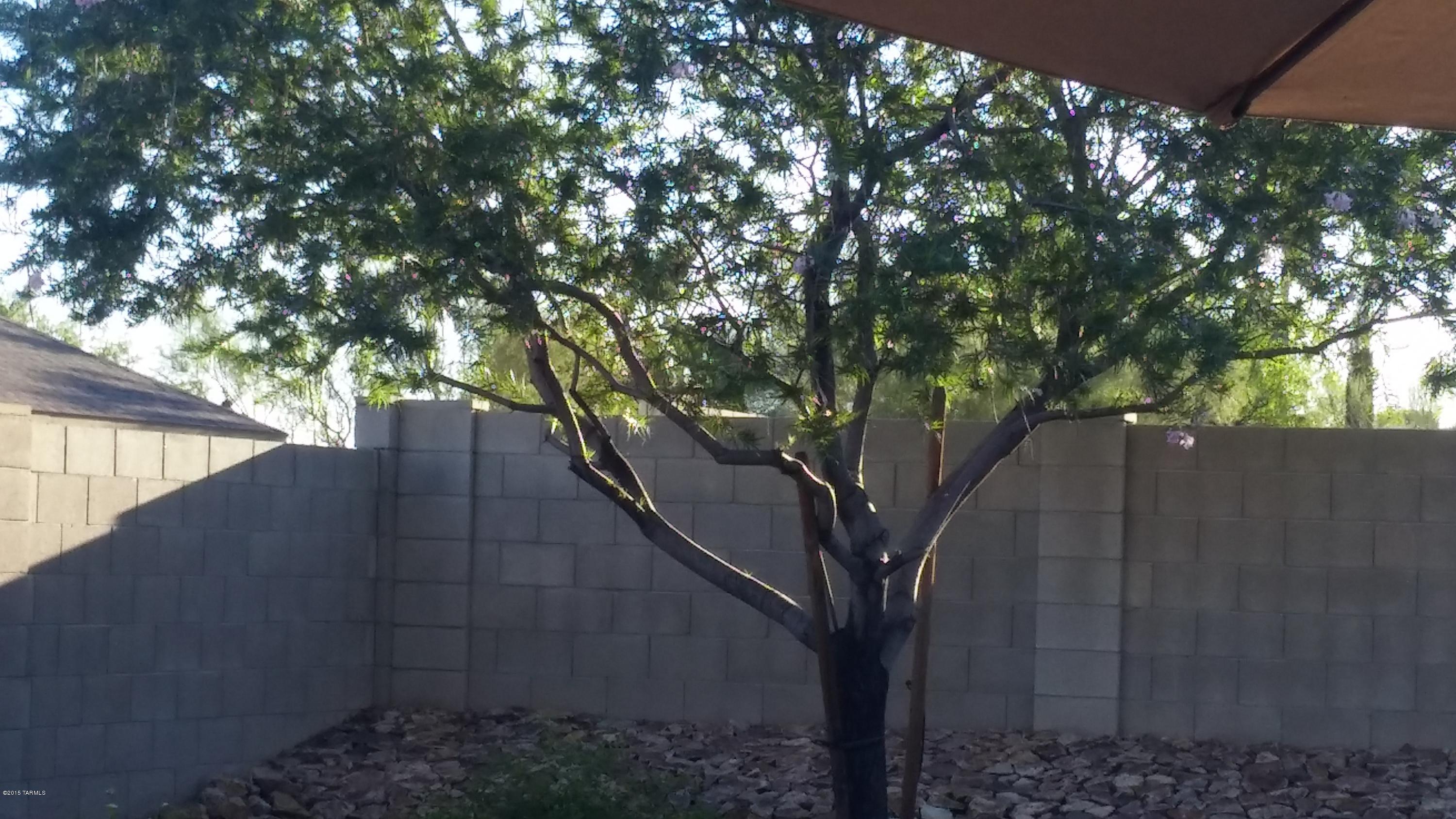 Tucson Mountain Village II (237-491) - Residential