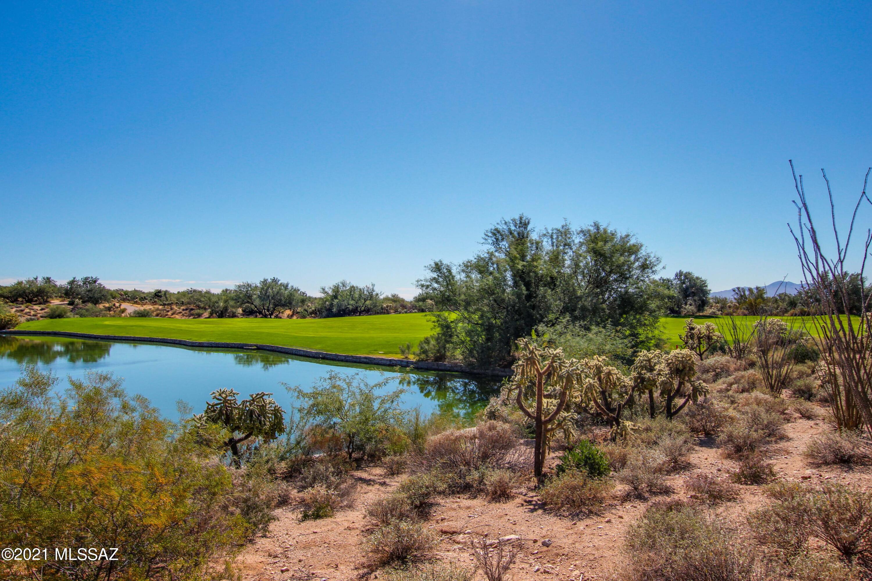 Dos Lagos at Dove Mountain (1-91) - Residential