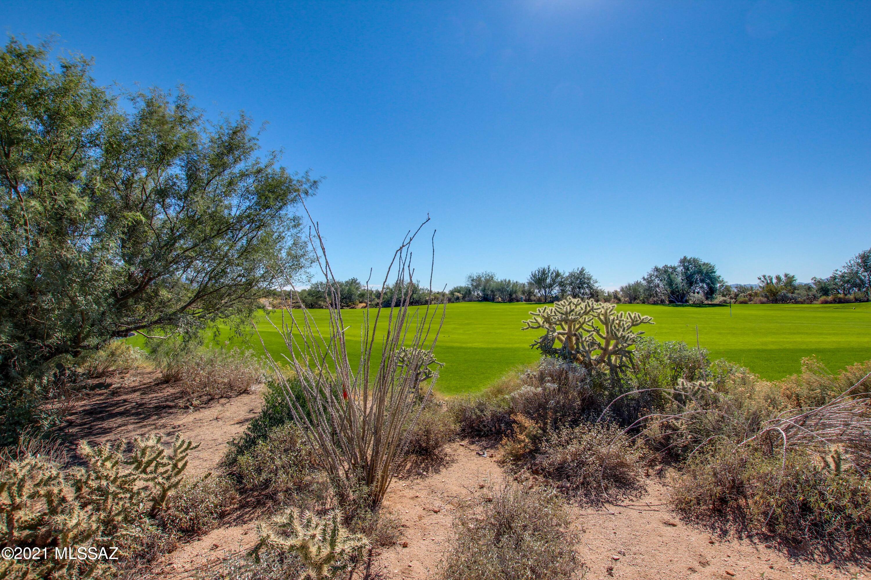 Dos Lagos at Dove Mountain (1-91) - Residential