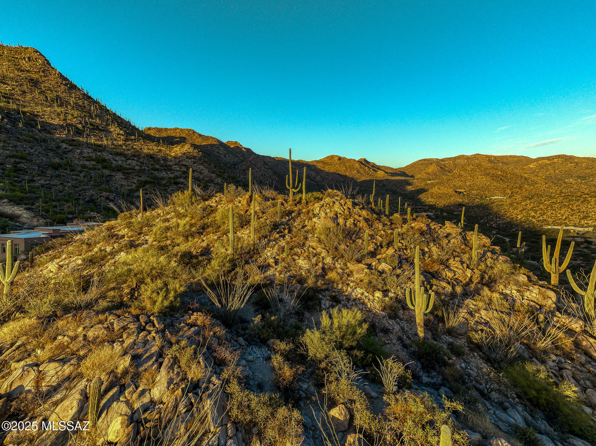 Canyon Pass II At Dove Mountain (49-110) - Land
