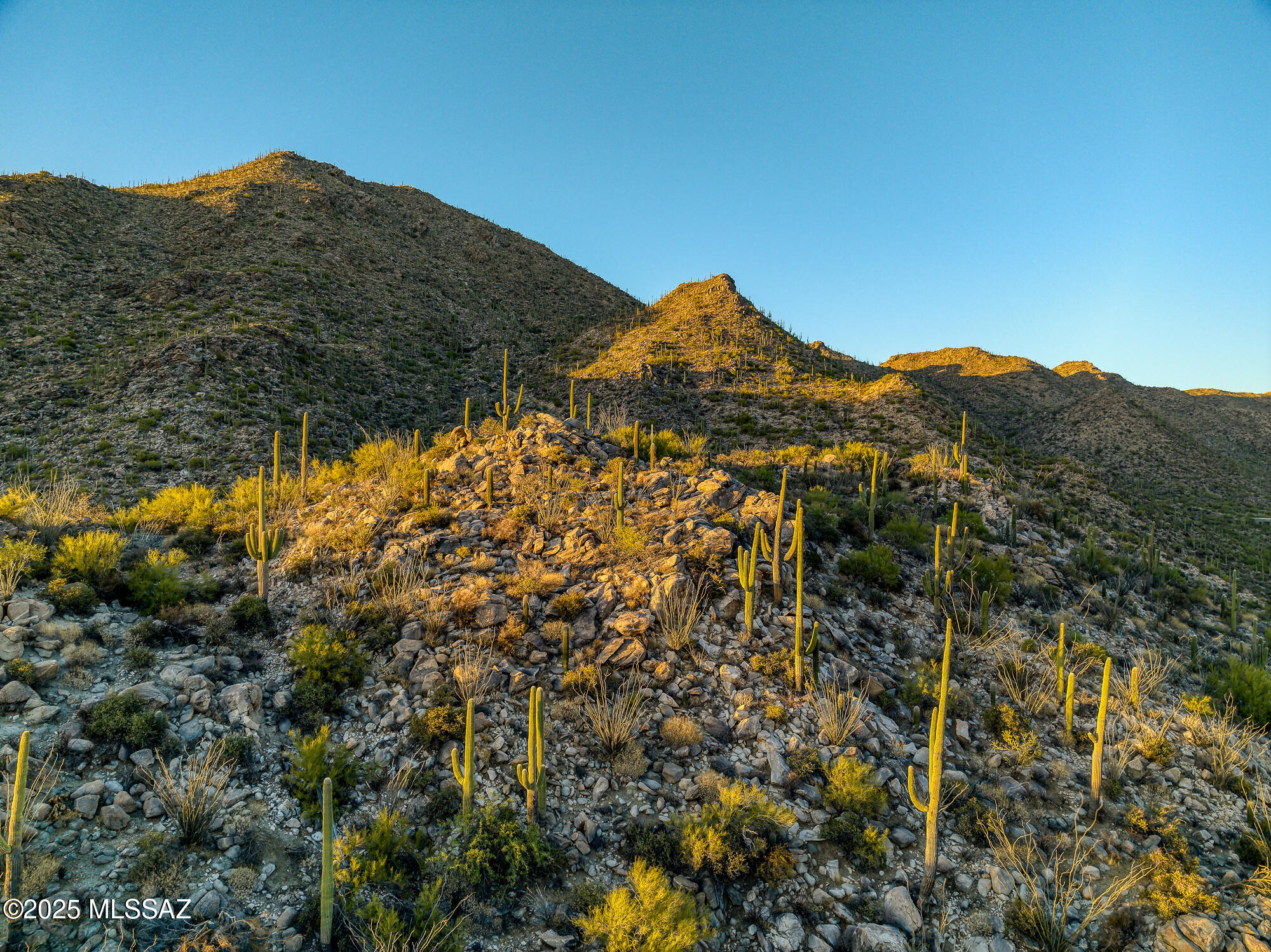 Canyon Pass II At Dove Mountain (49-110) - Land