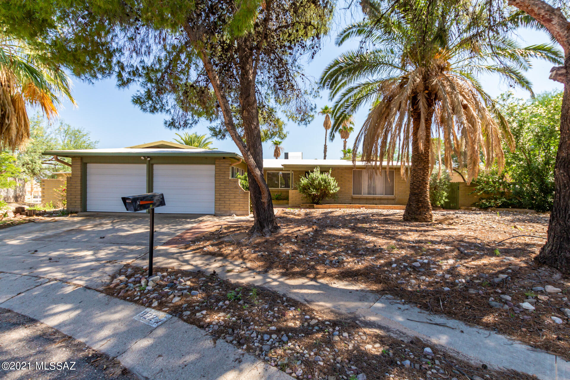 This charming 3 bedroom, 2 bathroom home with mature palm trees & a 2 car garage is now on the market! Discover a cozy interior with spacious living & dining rooms, carpet & tile floors, plenty of natural light, an open family room, and soothing palette. The kitchen is equipped with ample counters, wood cabinets, track lighting, a pantry, and a breakfast bar. The primary bedroom has its own bathroom and a walk-in closet. The spacious backyard includes a large covered patio, tons of mature tress that provide constant breeze, RV gate, and great potential to get creative. This beauty won't last long. Book a showing today!