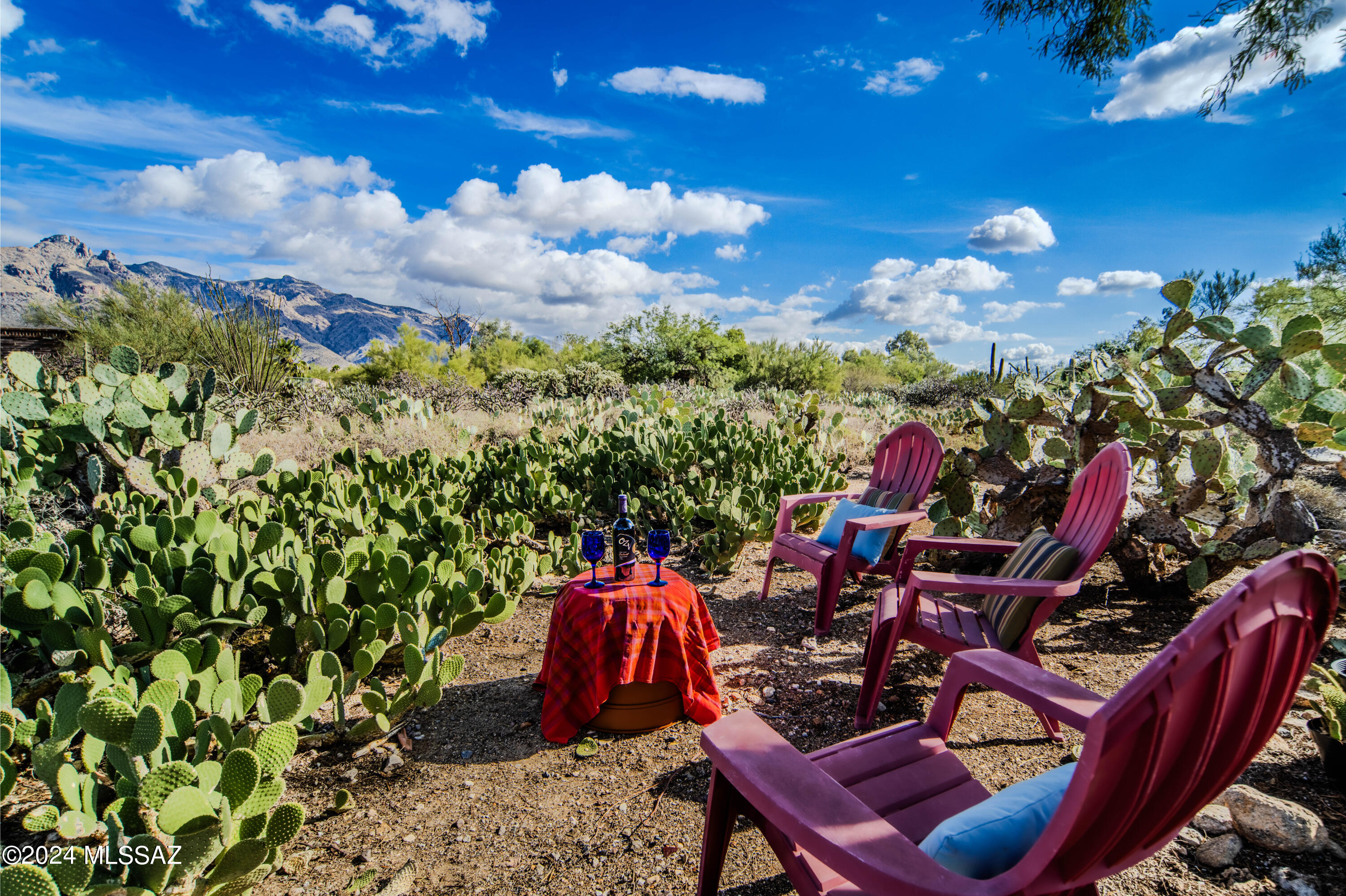 Catalina Foothills Est 8 - Residential