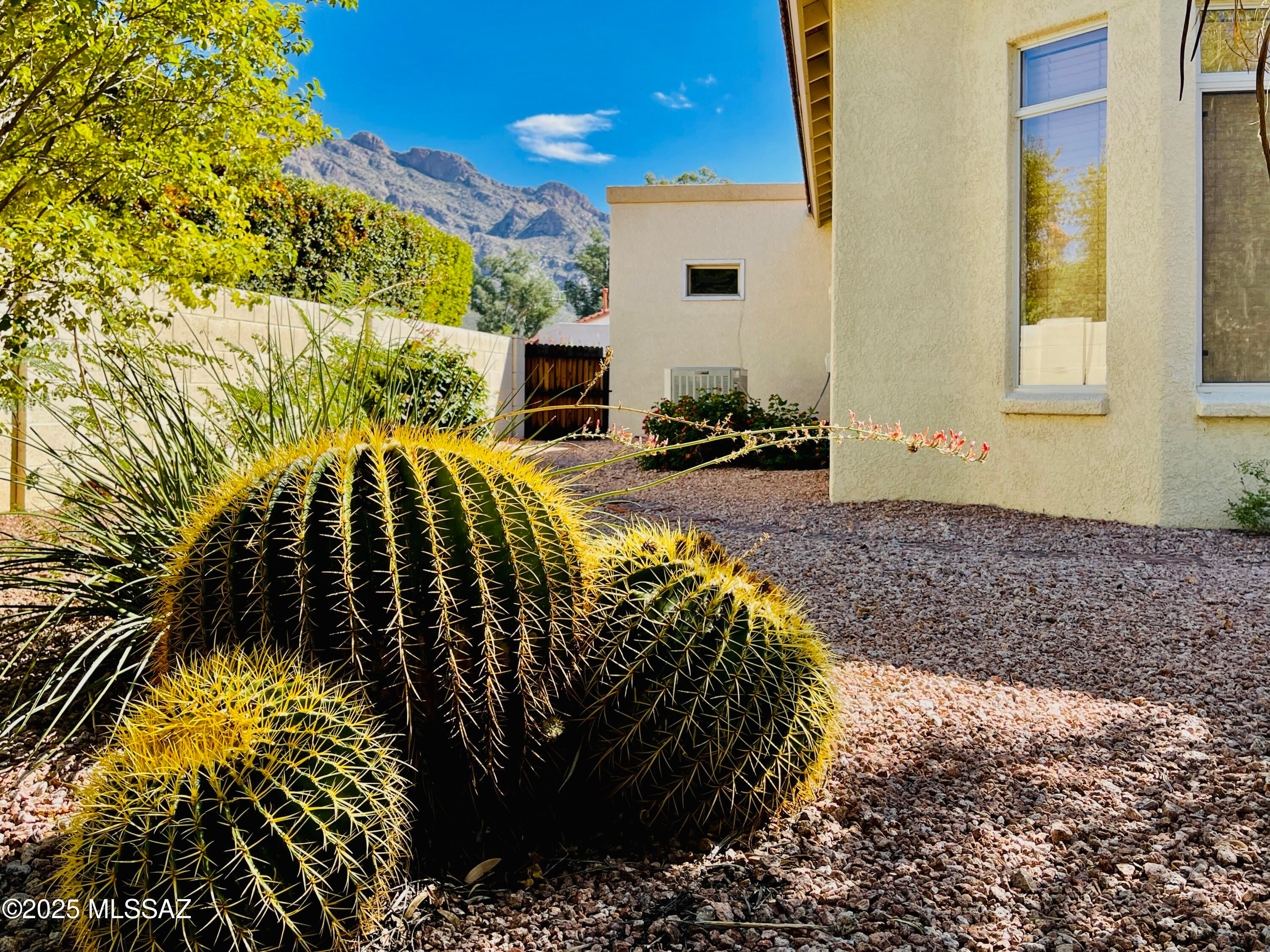 Desert Greens At Oro Valley (1-23) - Residential Lease