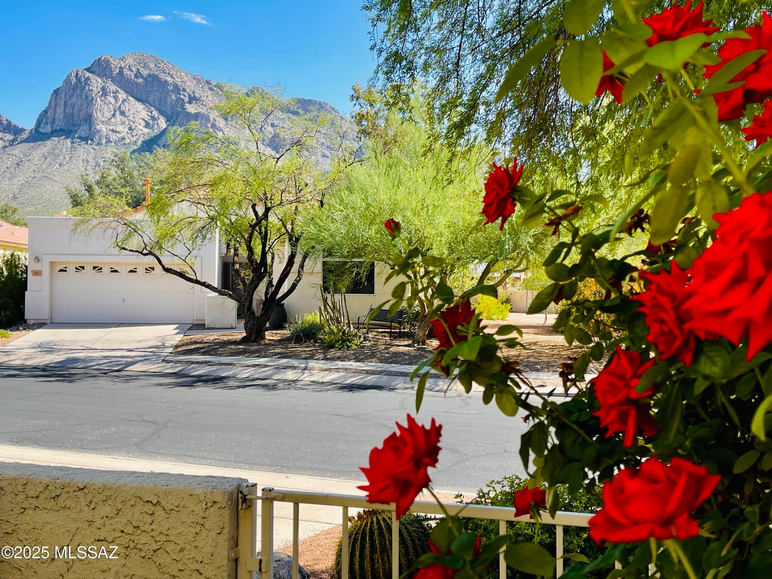 Desert Greens At Oro Valley (1-23) - Residential Lease