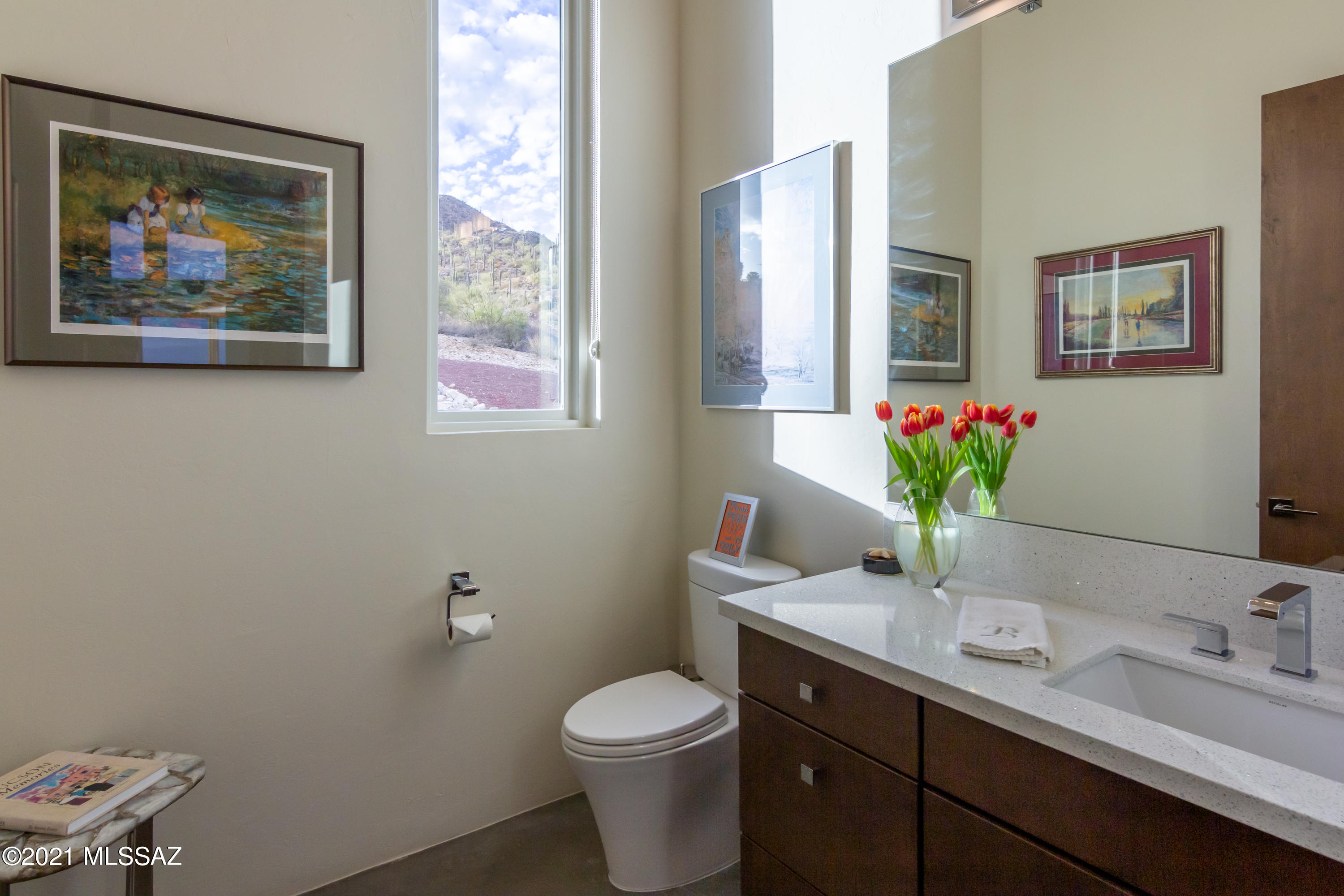 Estates at Starr Pass (The) - Residential