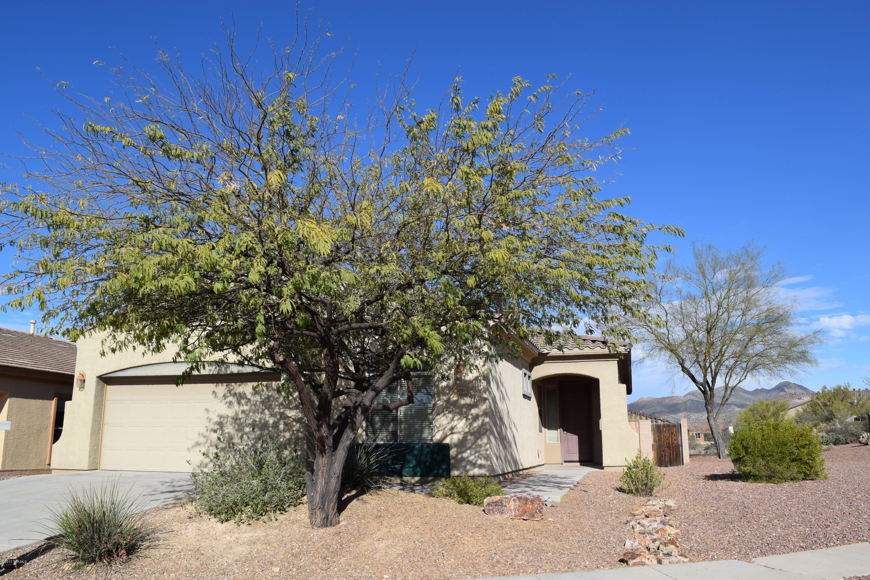 Rancho Vistoso Neighborhood 10 - Residential