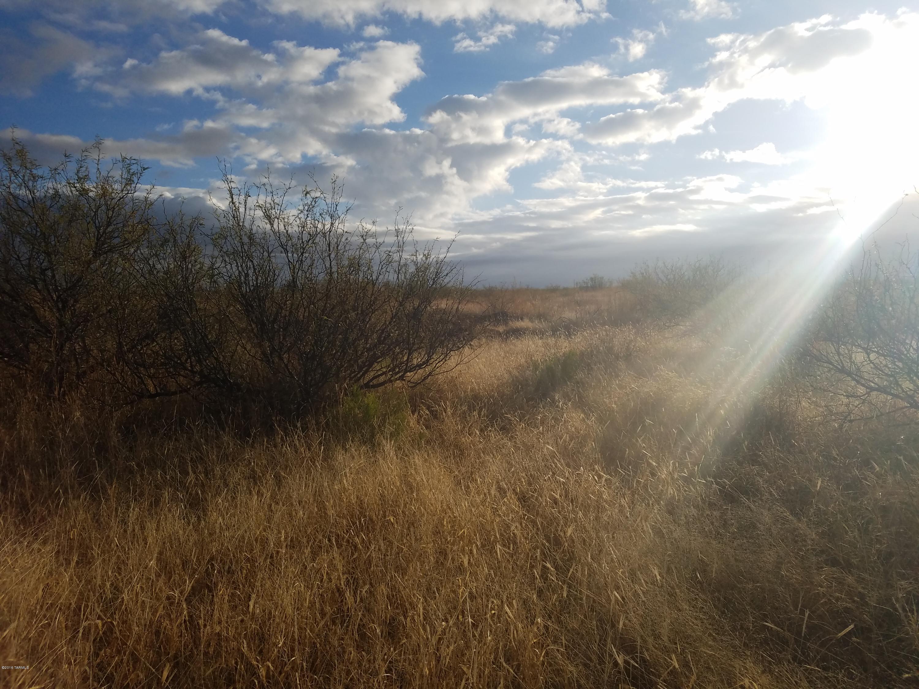 Sunizona Acres - Land