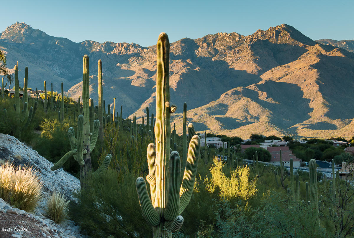 Sabino Mountain (1-290) - Residential