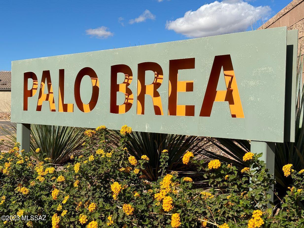Saguaro Bloom 7A - Residential
