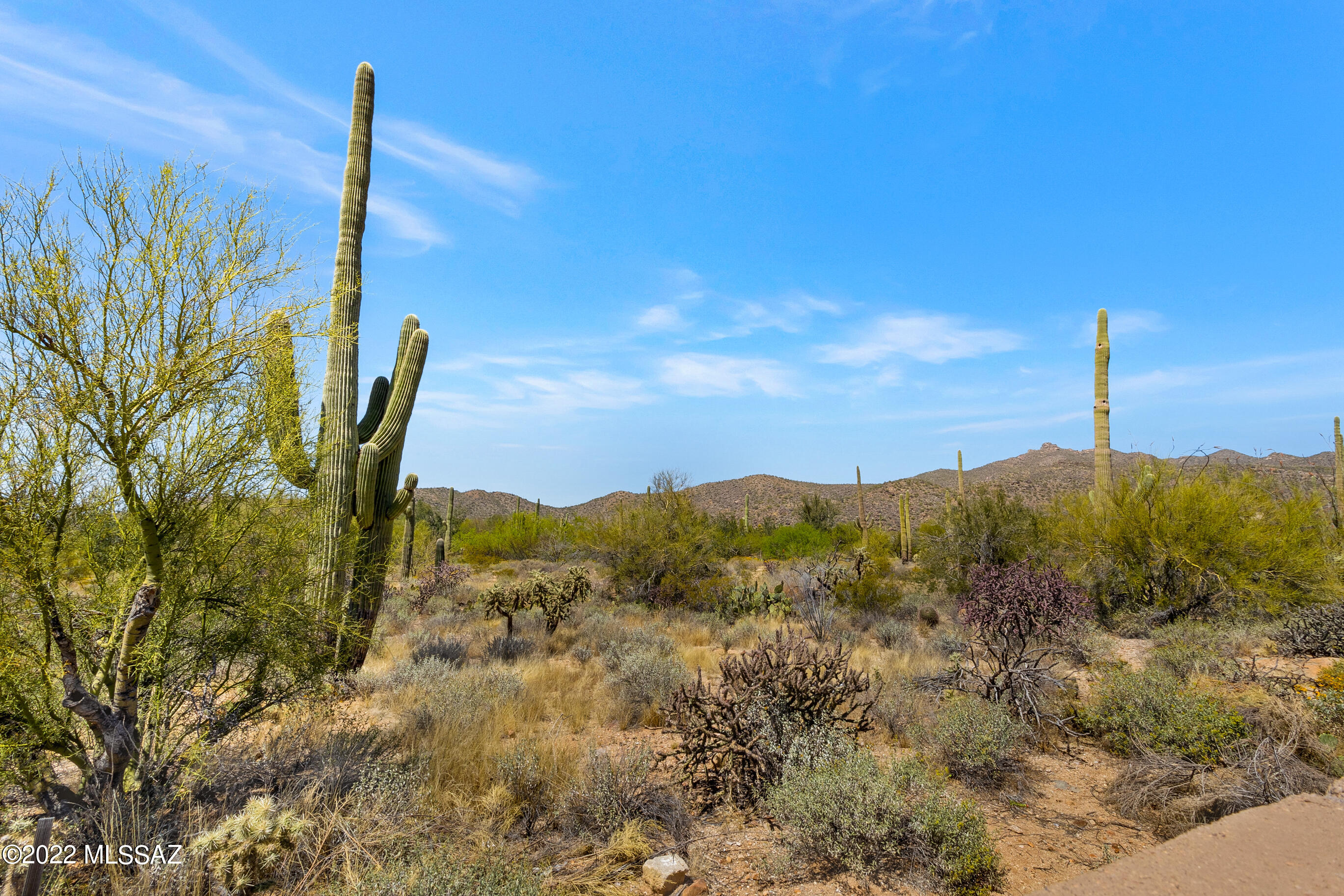 Los Saguaros At Dove Mountain SQ20121640199 - Residential