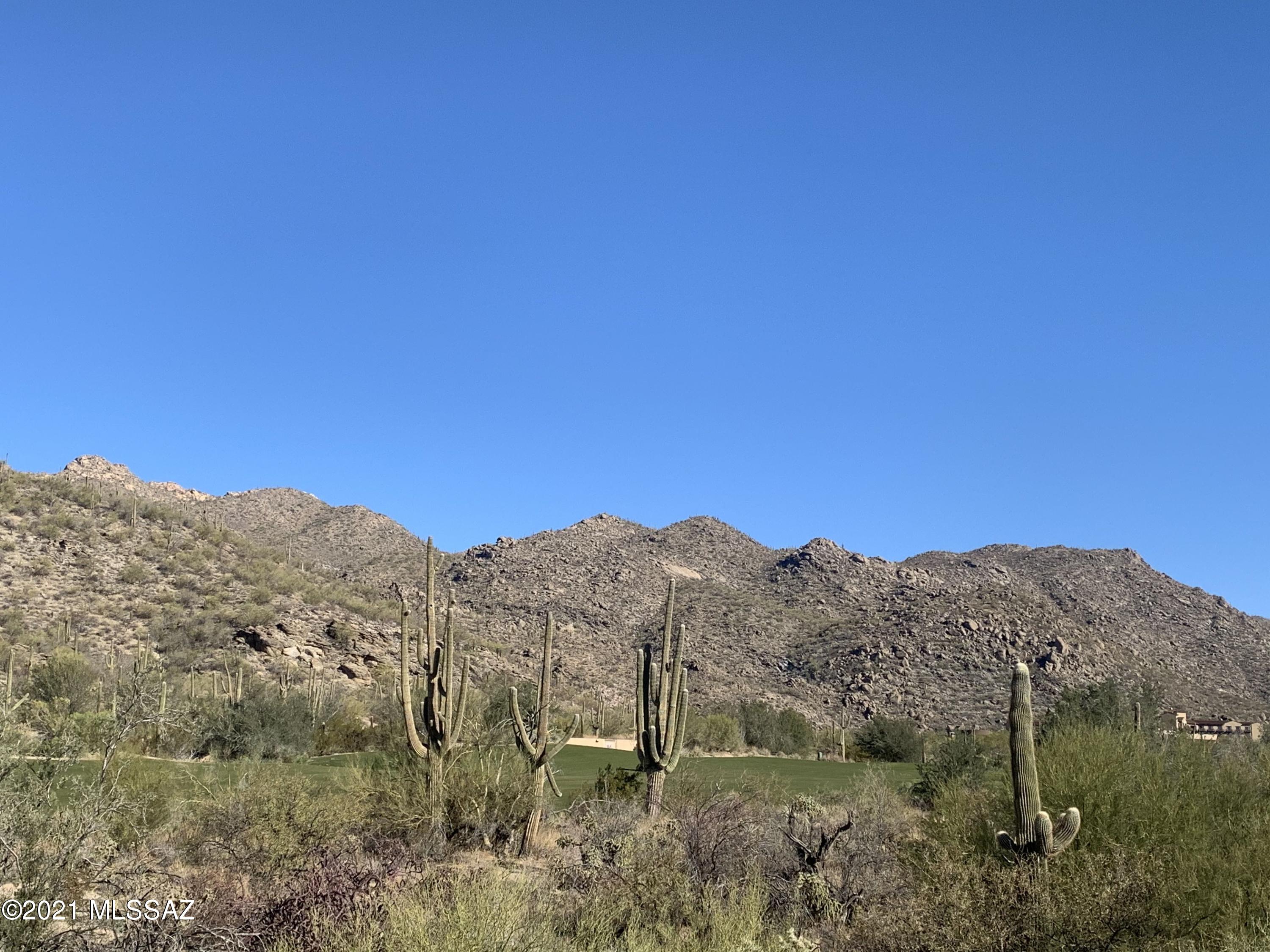 Dove Mountain Resort (1-153) - Land