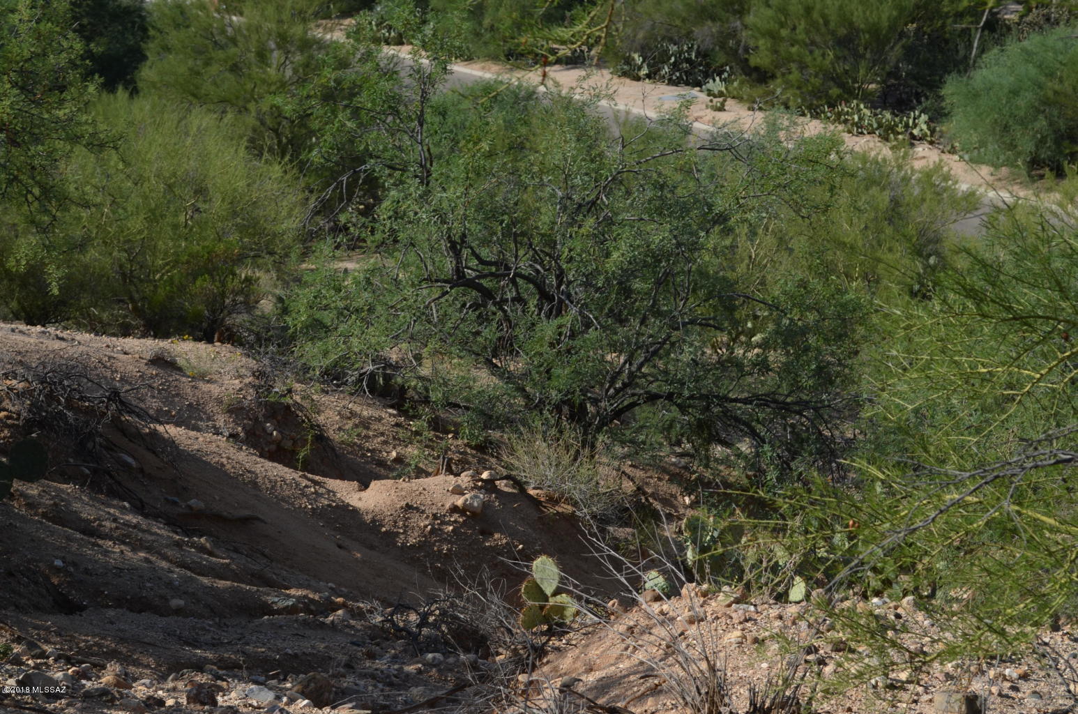Oro Valley Estates - Land