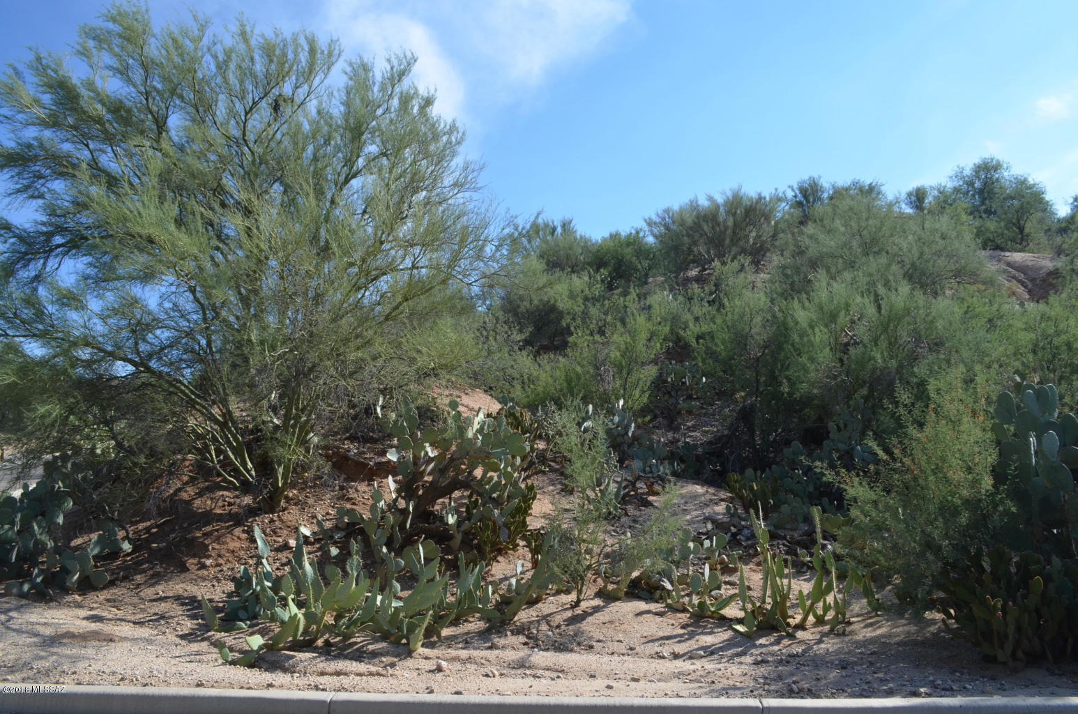 Oro Valley Estates - Land