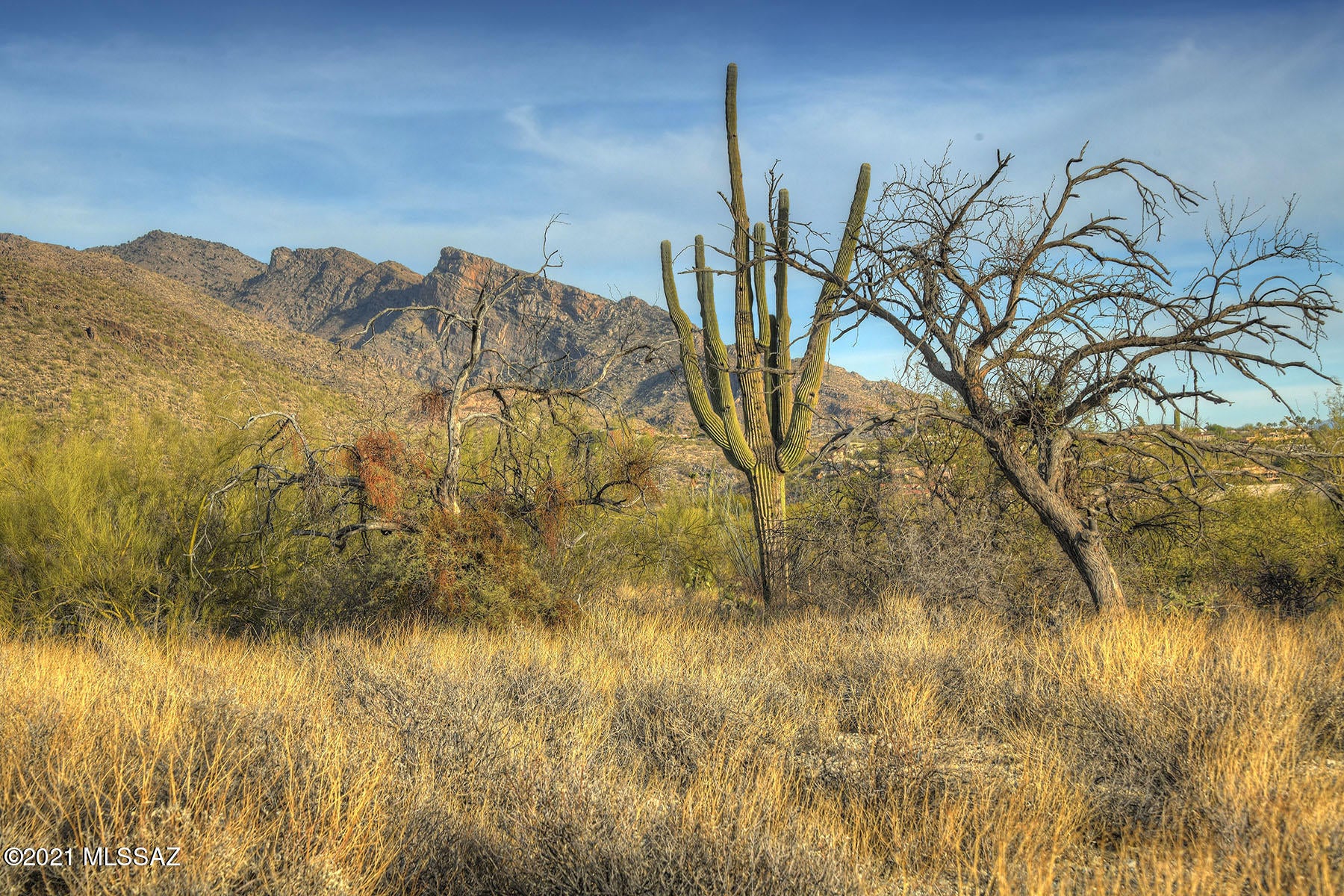 Pima Canyon Estates (1-176) - Land