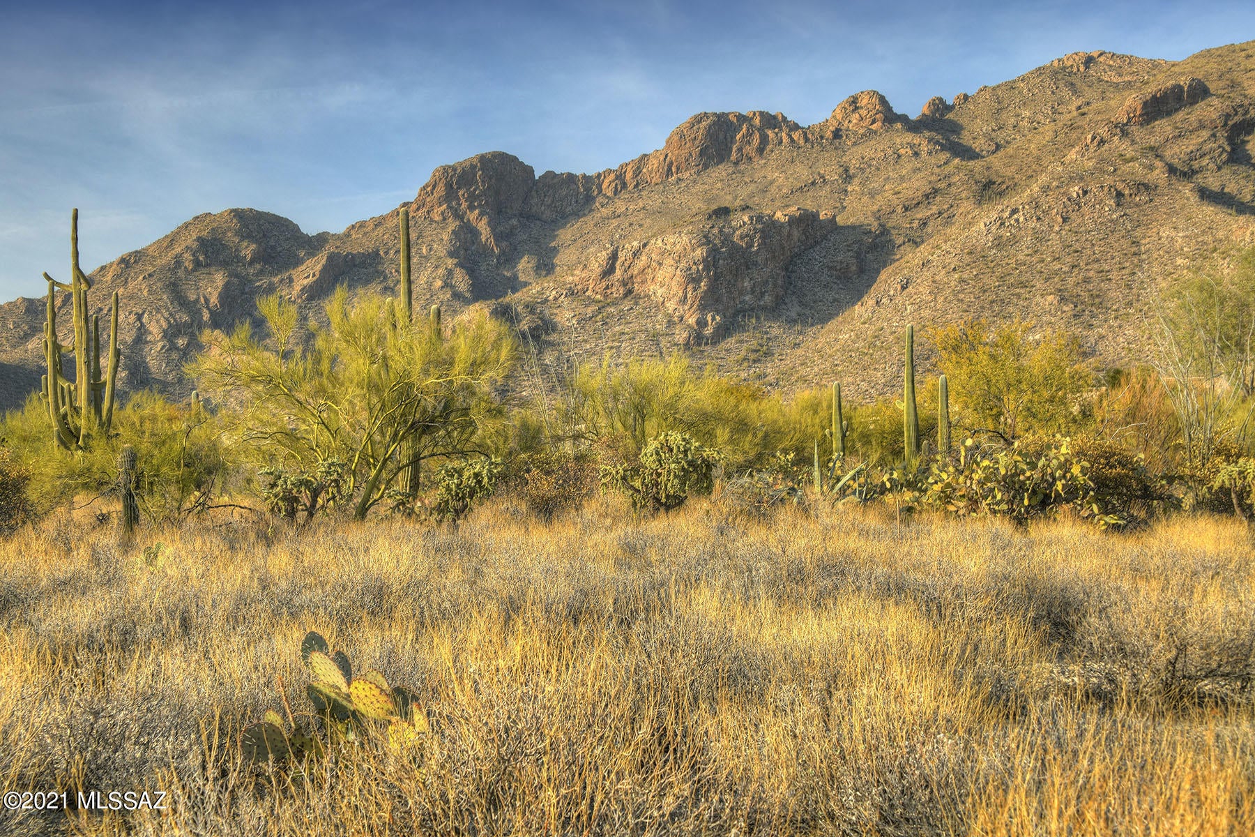 Pima Canyon Estates (1-176) - Land