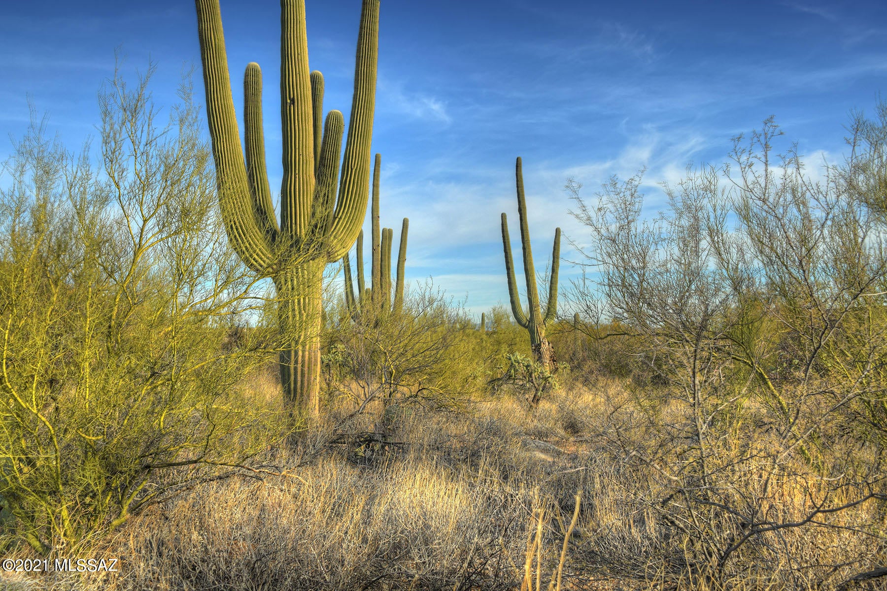 Pima Canyon Estates (1-176) - Land