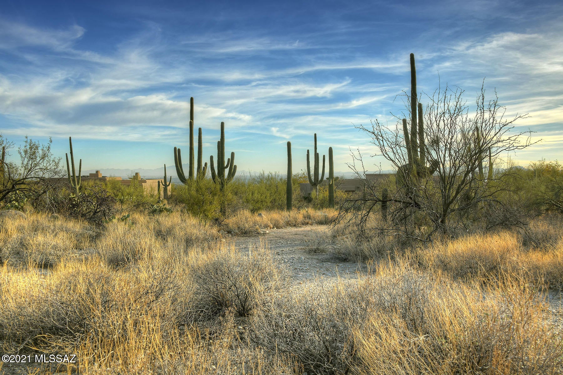 Pima Canyon Estates (1-176) - Land
