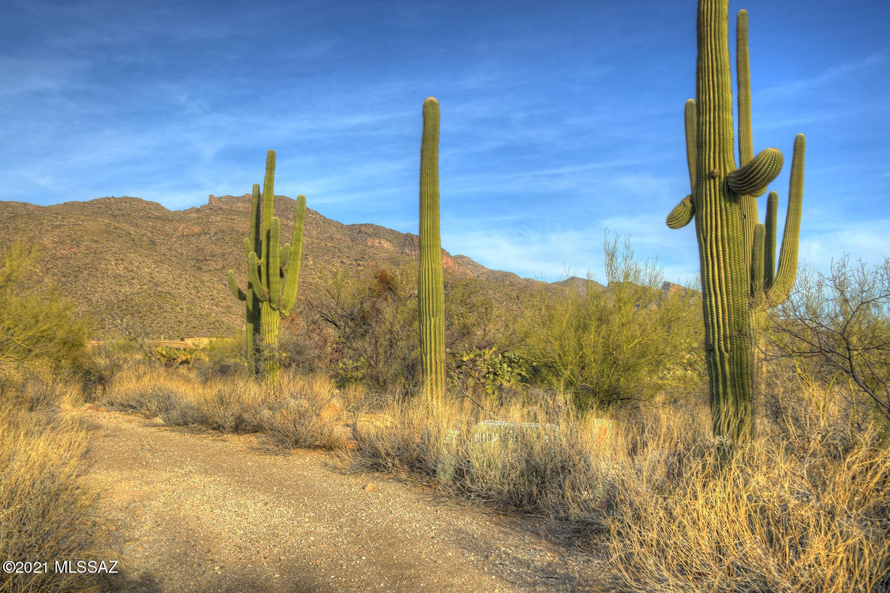 Pima Canyon Estates (1-176) - Land