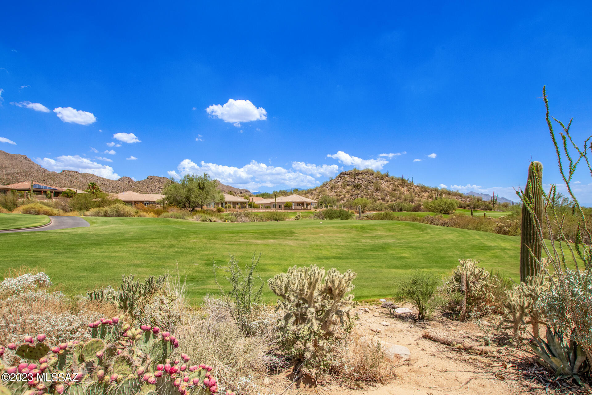 Heritage Highlands II at Dove Mountain (393-541) - Residential