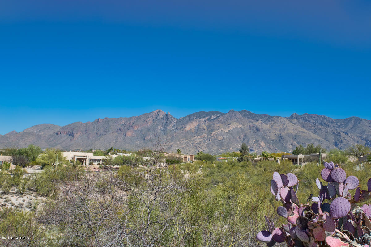 Bellas Catalinas Estates (1-93) - Residential