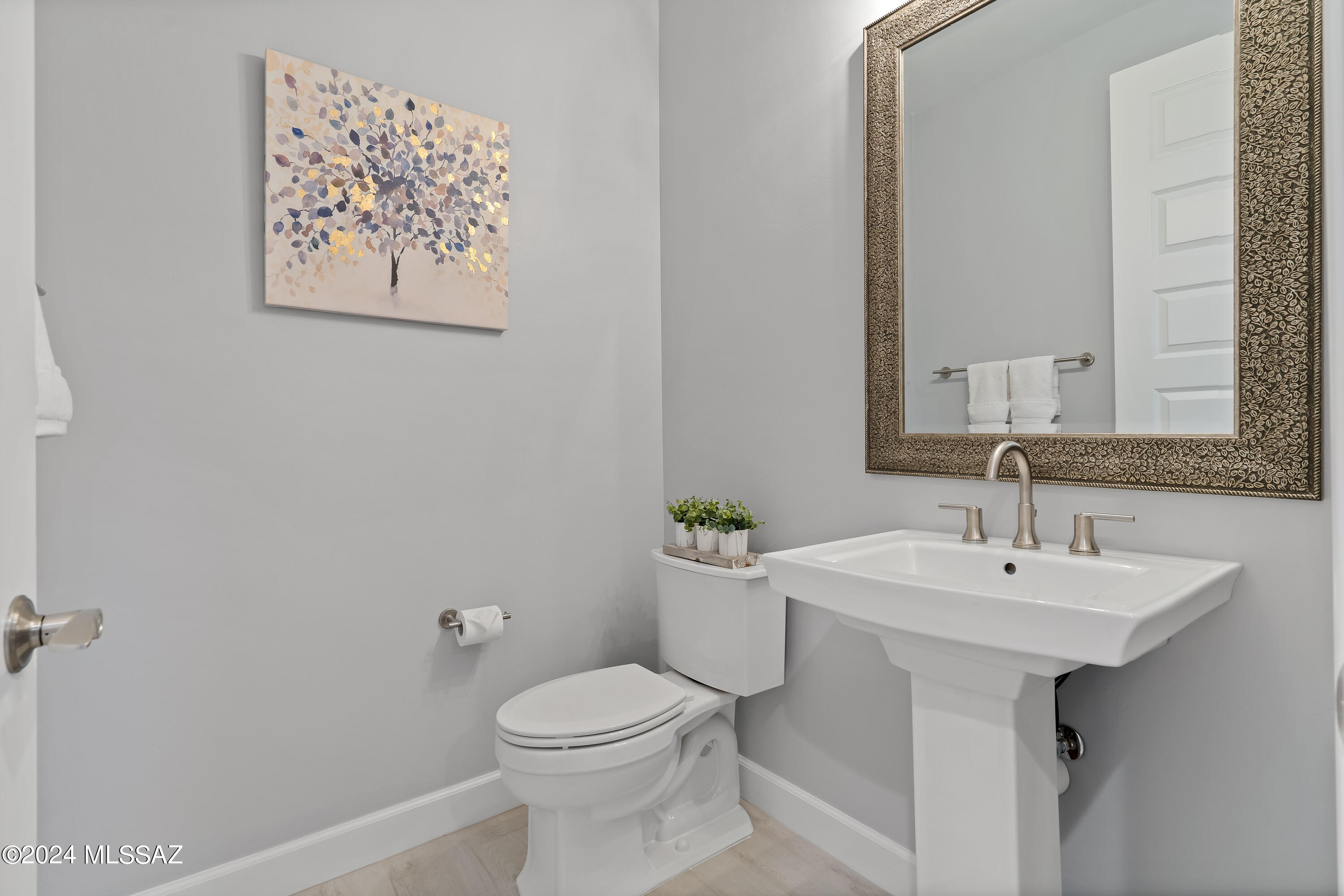 Saddlebrooke Ranch - Residential