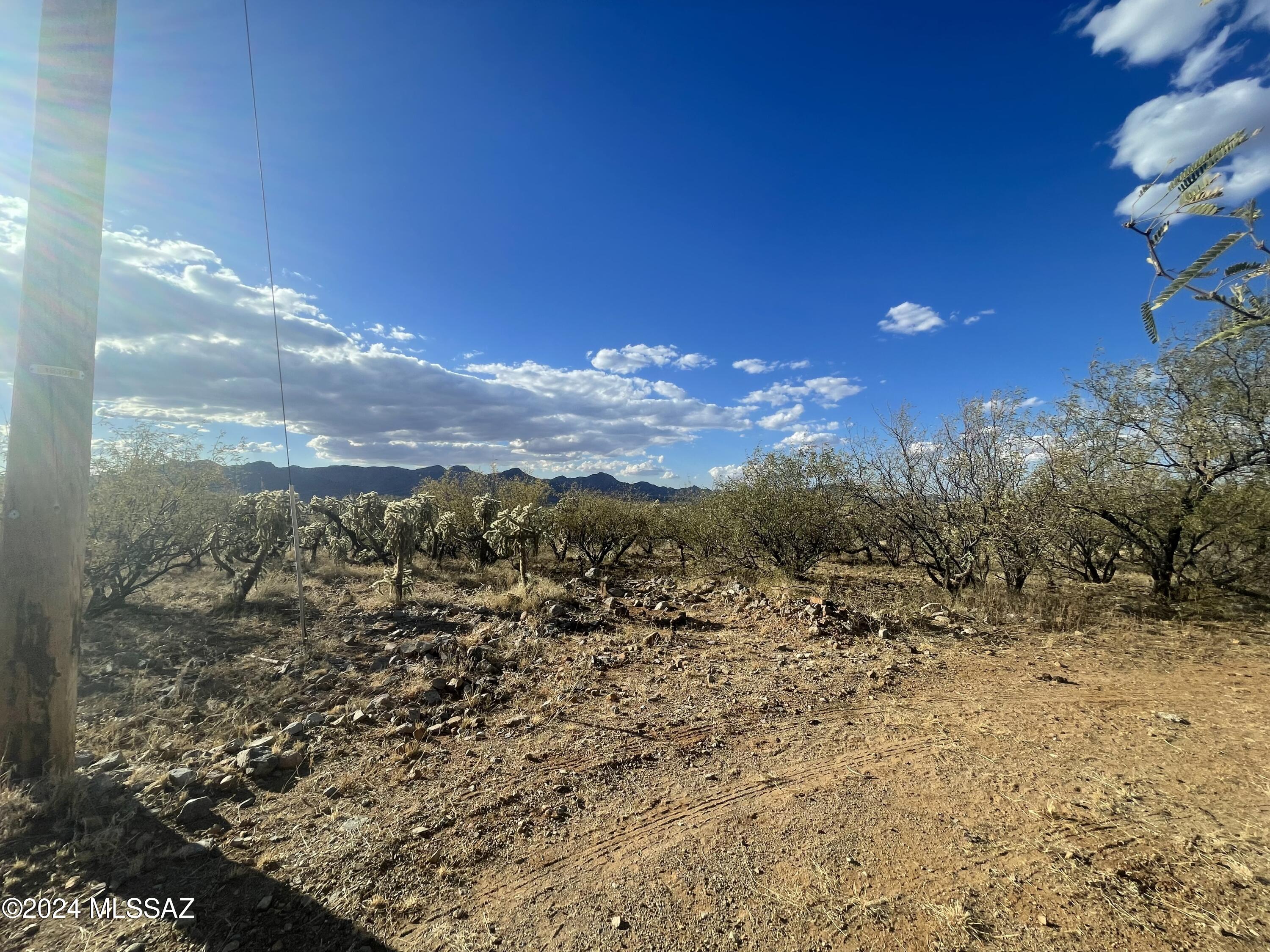 Rio Rico Ranchettes 18 - Land