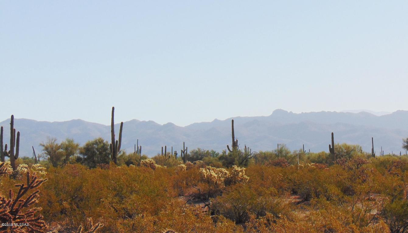 Enjoy the quite on this 4-acres of lush vegetation with abundance of saguaro cactus. This private seclusion is great property for horses with easy quick access to riding trails, raising livestock and family living.  This Desirable location in growing area of Pinal County is 15 minutes away from Marana exit 236 at 1-10 with growing amenities and business to include McDonalds, & Chuy's-on the way. So Leave the HOA behind!! PLEASE CONTACT MICHELLE GOSS FOR ALL QUESTIONS & OFFERS.