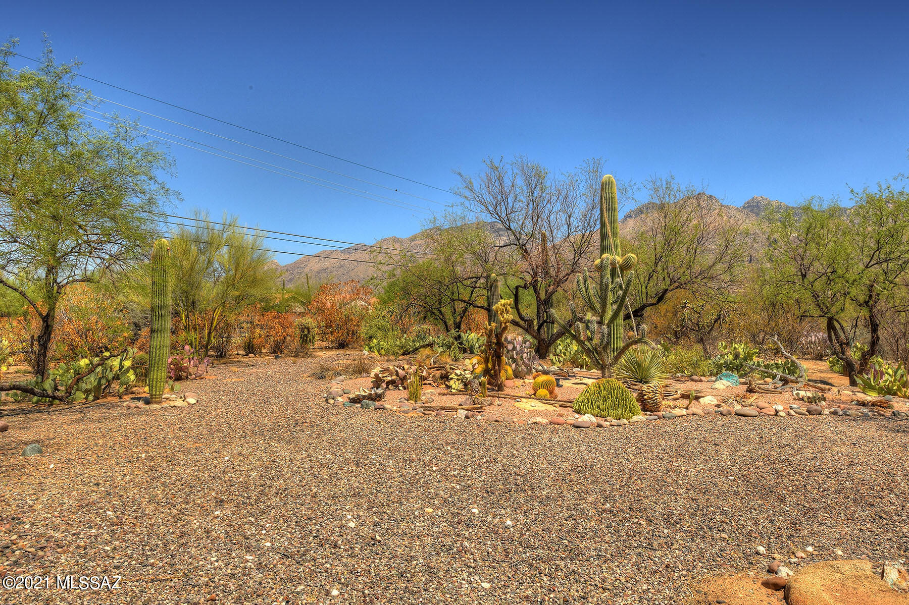 Sabino Town And Country Estates (1-77) - Residential