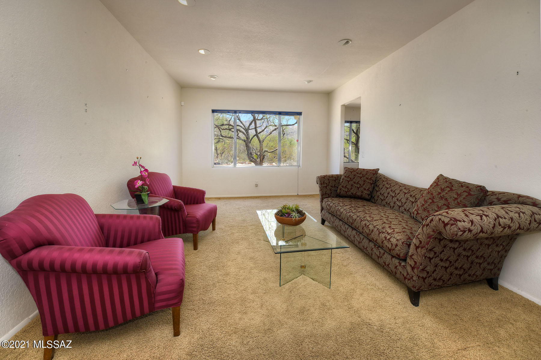 Sabino Town And Country Estates (1-77) - Residential