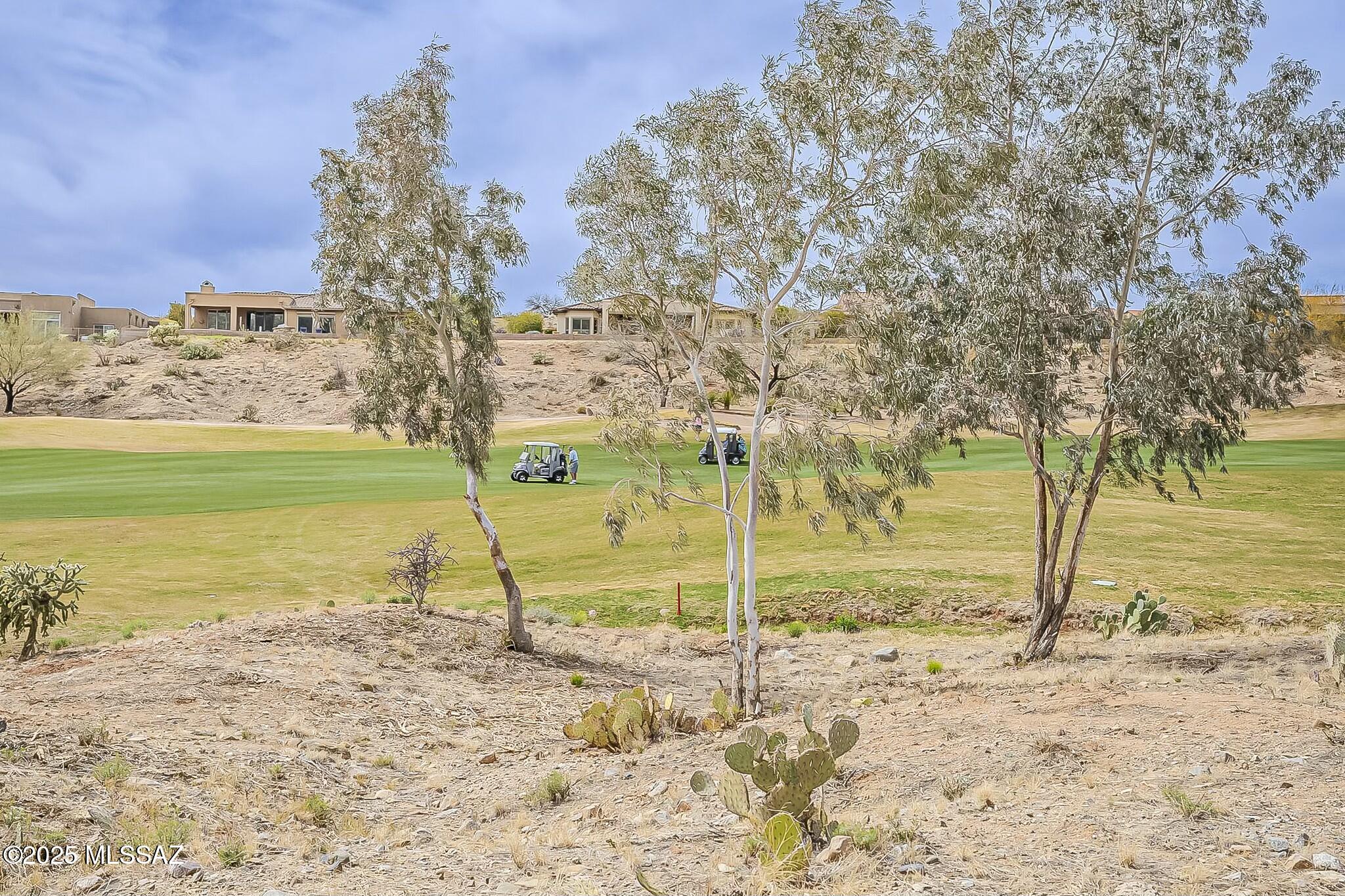 Saddlebrooke - Residential