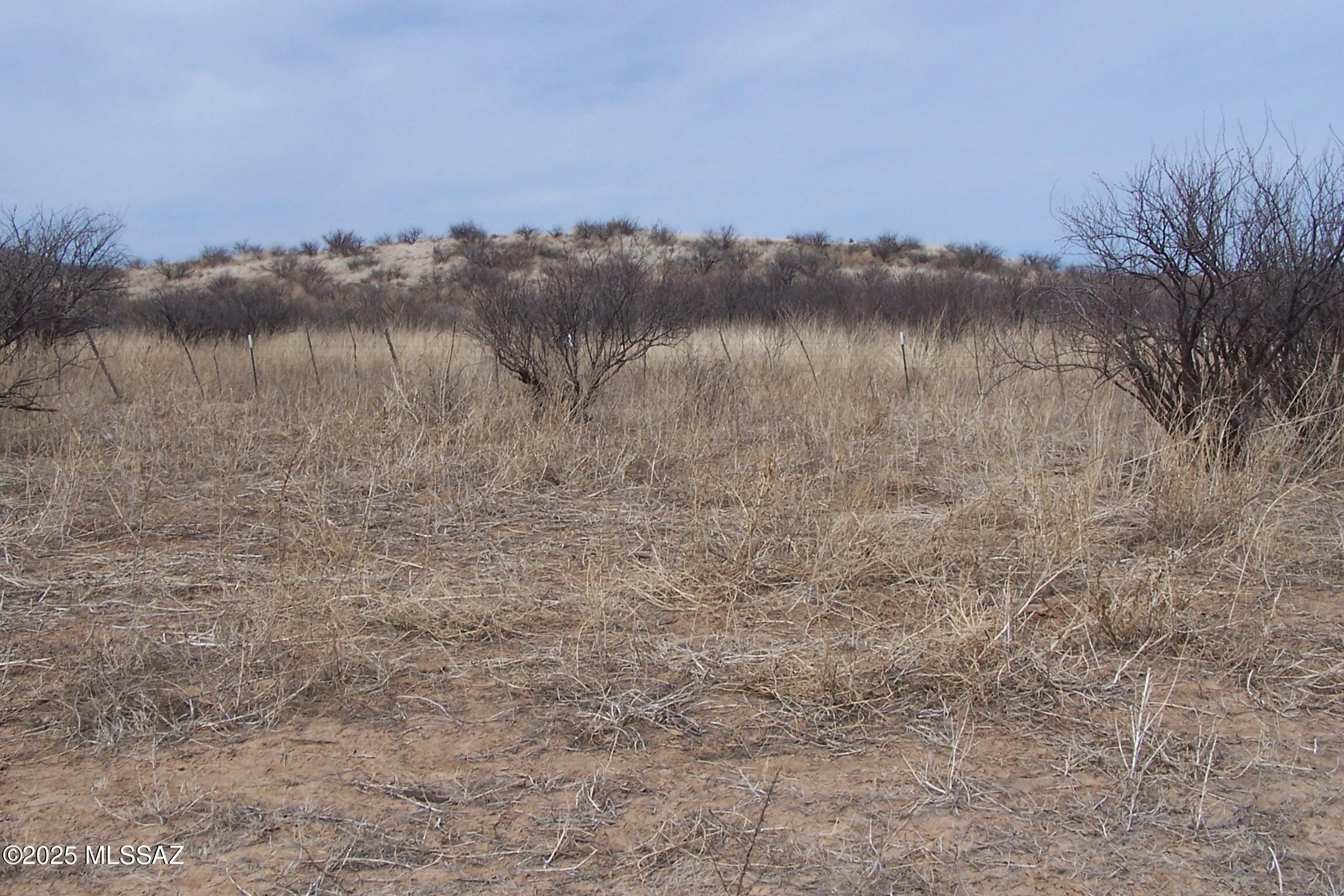 Out Of Pima County - Land