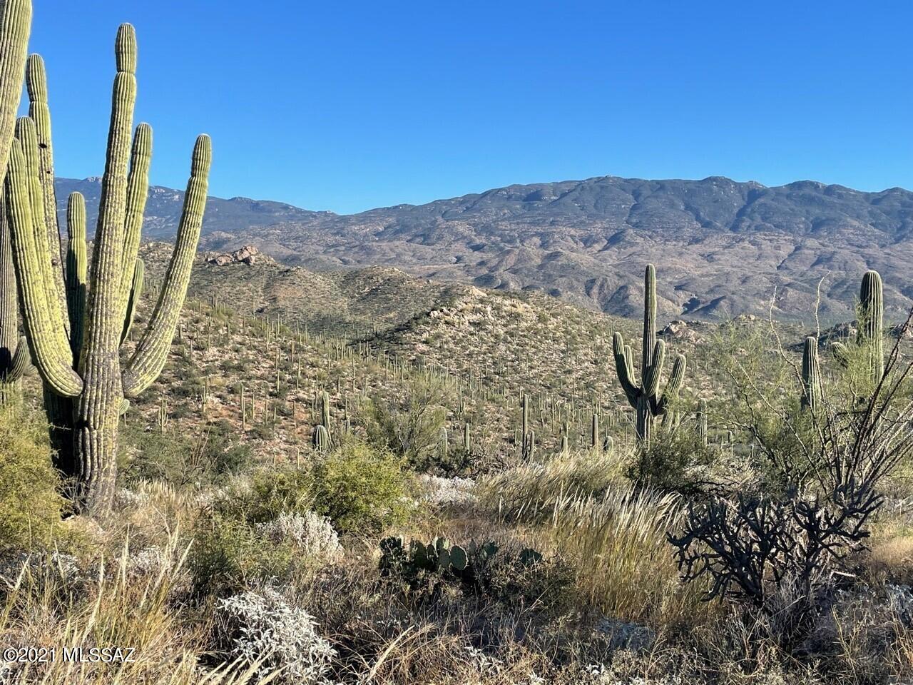SPECTACULAR 3.70 ACRES OF LUSH SONORAN DESERT ON PARCEL 12 AT THE MAGNIFICENT RINCONADO ESTATES IN NORTHEAST TUCSON. BEAUTIFUL NATURAL DESERT WITH LARGE, MATURE SAGUAROS AND STUNNING VIEWS IN ALL DIRECTIONS. THIS PARCEL HAS INCREDIBLE MOUNTAIN AND CANYON VIEWS. VERY PRIVATE! IMPECCABLE QUALITY IMPROVEMENTS, ALL UNDERGROUND FOR THE 14 LOTS IN THIS SMALL, QUIET, PRIVATE GATED COMMUNITY. THOUGHTFUL DESIGN GUIDELINES ENSURE VALUES AND A PREMIUM NEIGHBORHOOD. THIS LOT IS PRICED TO SELL WELL UNDER THE DEVELOPERS COSTS. ALL AMENITIES AND GREAT SCHOOLS ARE NEARBY AS WELL AS THE SAGUARO NATIONAL MONUMENT EAST, REDINGTON PASS, THE TANQUE VERDE WASH AND AGUA CALIENTE PARK. MUST SEE! ONE OF THE PRINCIPALS IS A LICENSED REAL ESTATE SALESPERSON IN THE STATE OF ARIZONA. MUST SEE THE VIDEO!