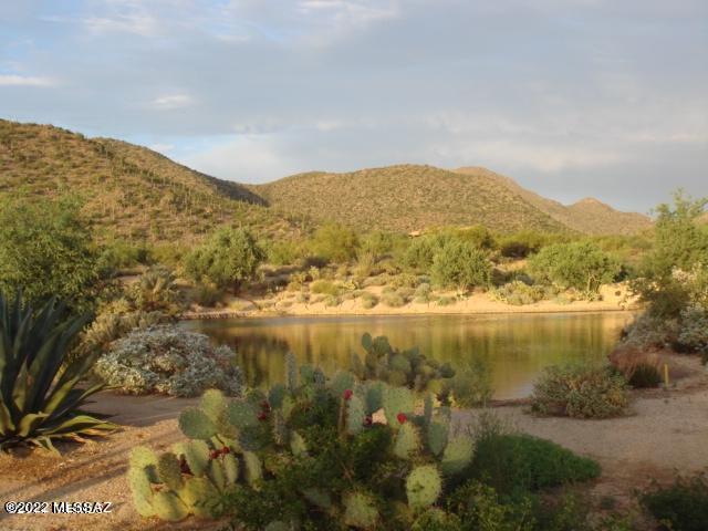 Dos Lagos at Dove Mountain (1-91) - Residential