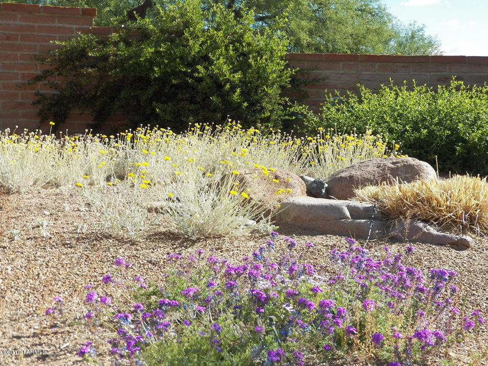 Tubac Valley Vistas - Residential