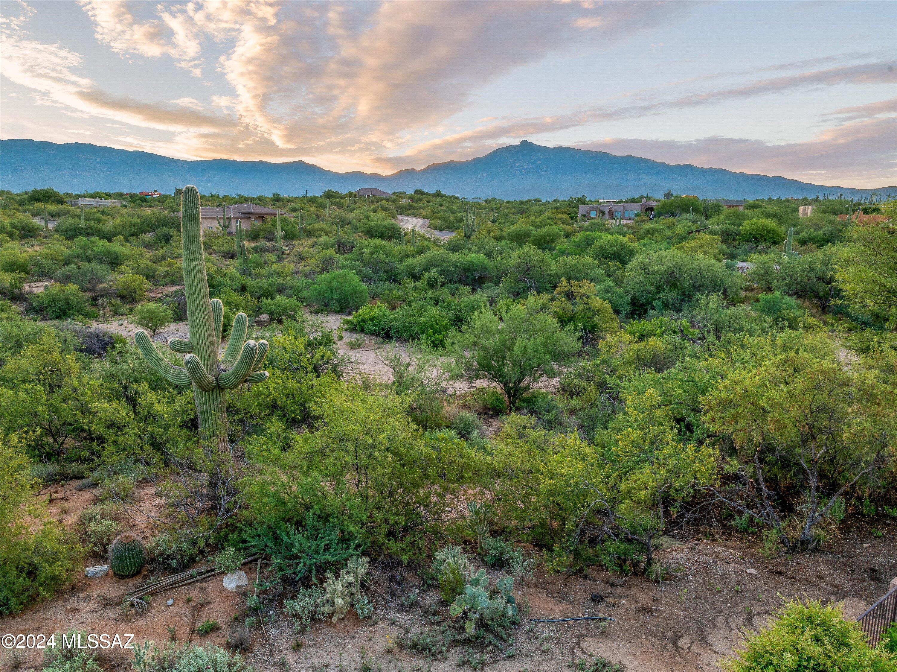 Coyote Creek (1-395) - Residential