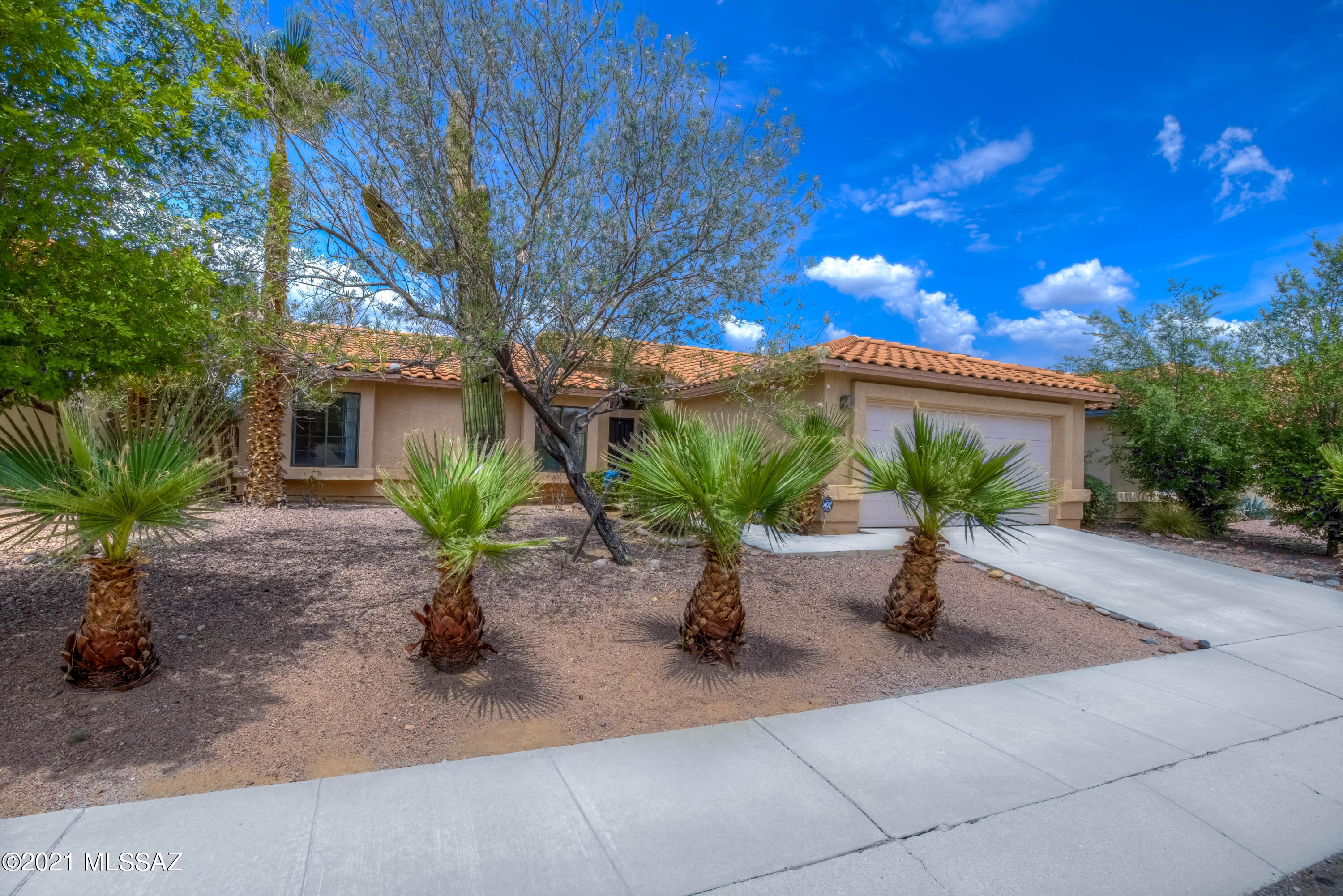 Cool off in your own sparkling pool just steps out your back door. This Northwest home is convenient to everything and move-in ready. Quiet neighborhood near Shannon and Linda Vista.