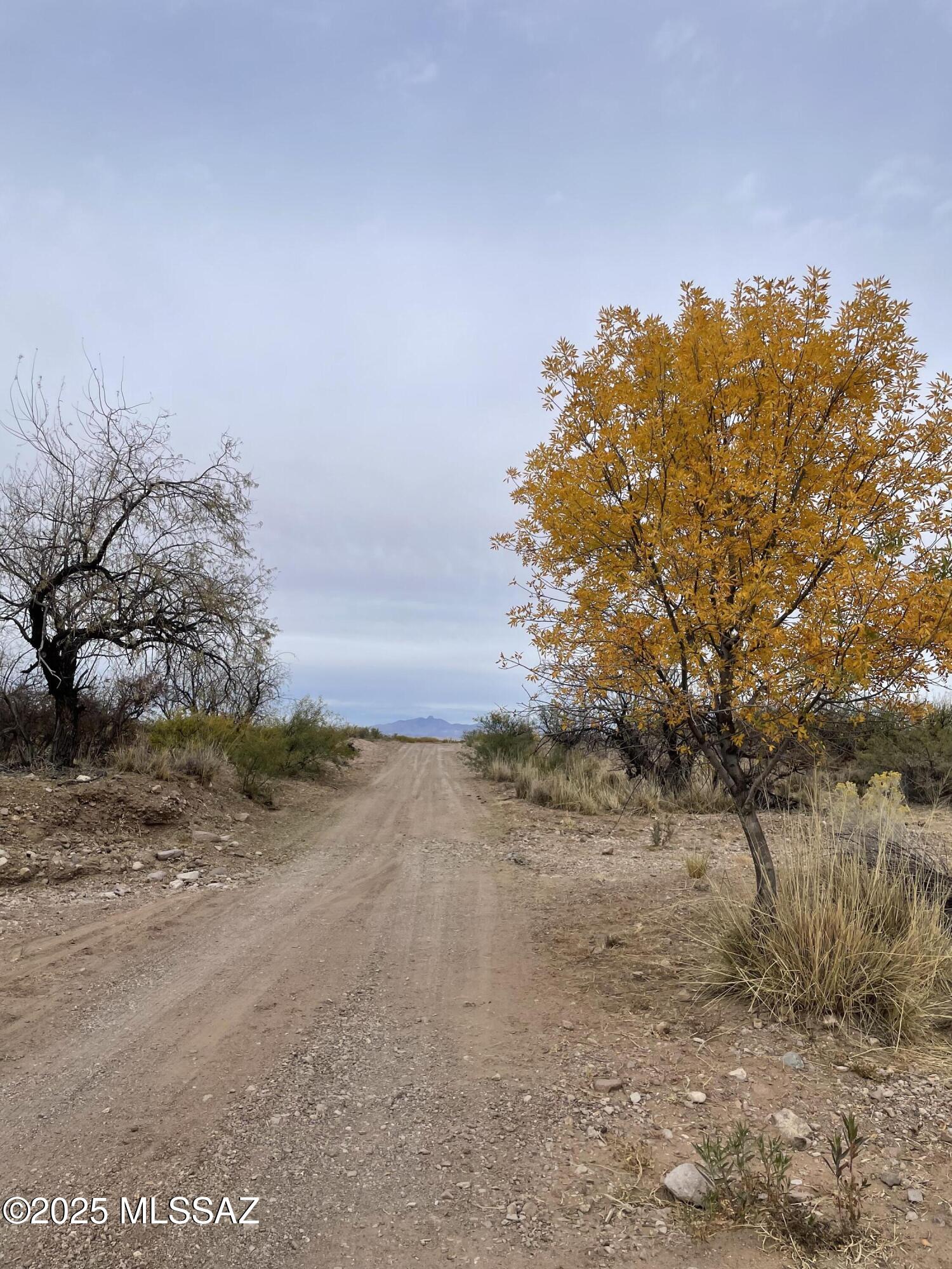 Ash Creek Ranch - Land