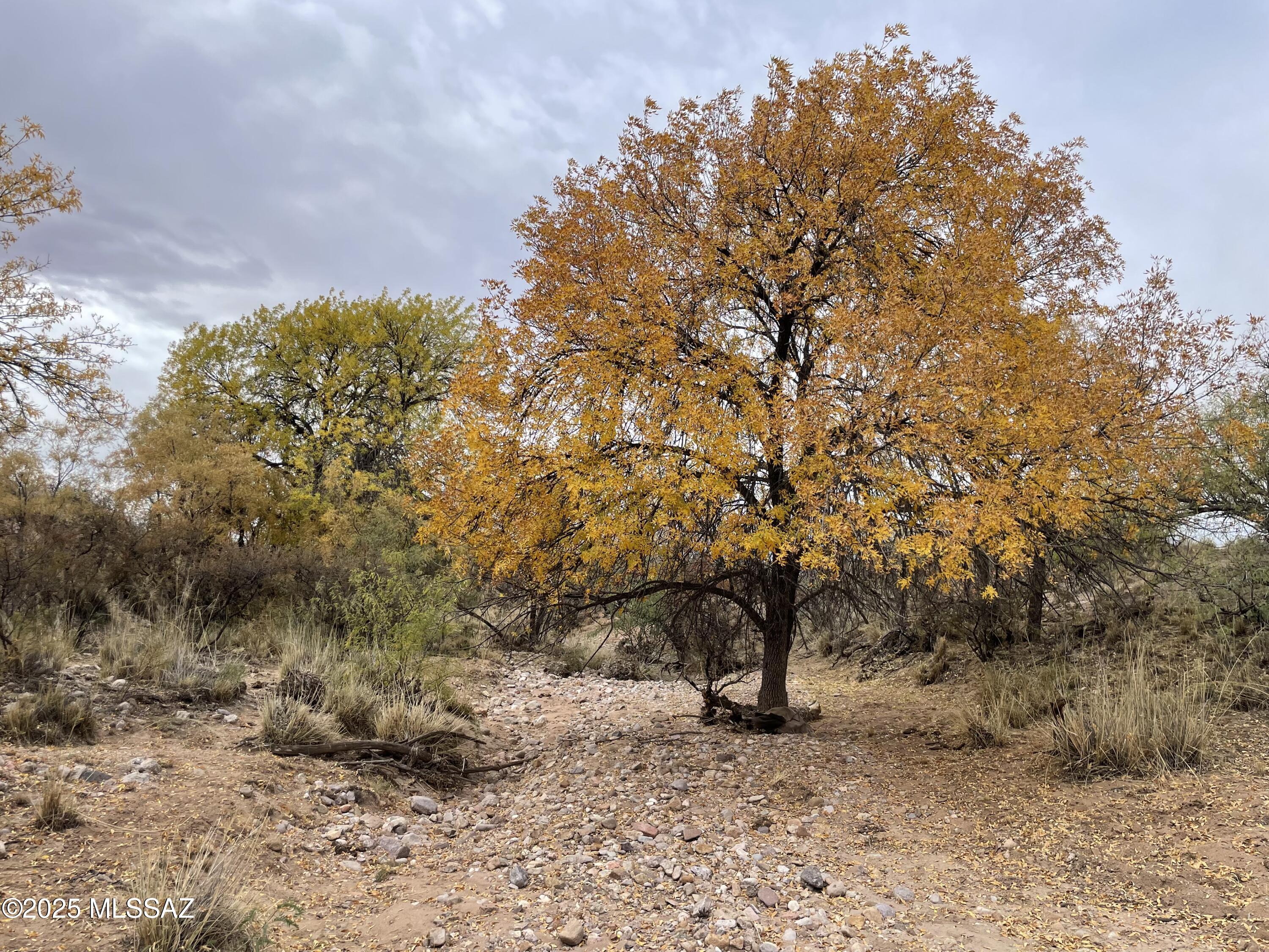 Own 12 beautiful acres in Cochise County! This parcel, currently part of a 40-acre property, will be split during escrow (see photos for preliminary survey). A desirable corner lot featuring a seasonal creek, mature trees, and sweeping views of the Chiricahua Mountains. RU-4 zoning allows for an opt-out permit, making it perfect for an off-grid homestead. Enjoy privacy, natural beauty, and incredible sunsets in a peaceful, wide-open setting. Build your dream retreat today! Seller Financing is possible with a minimum of 20% down payment.