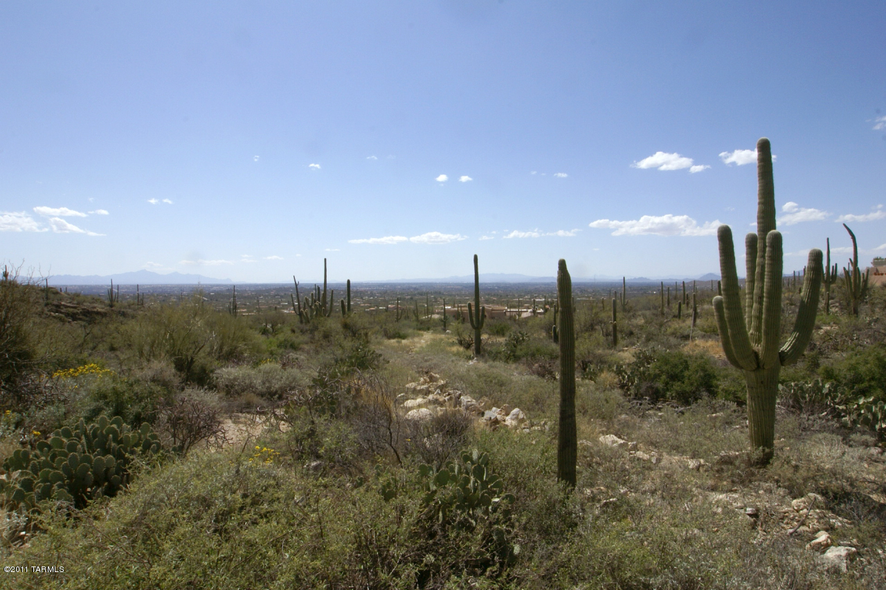 Estrella Vista Estates (1-23) - Residential