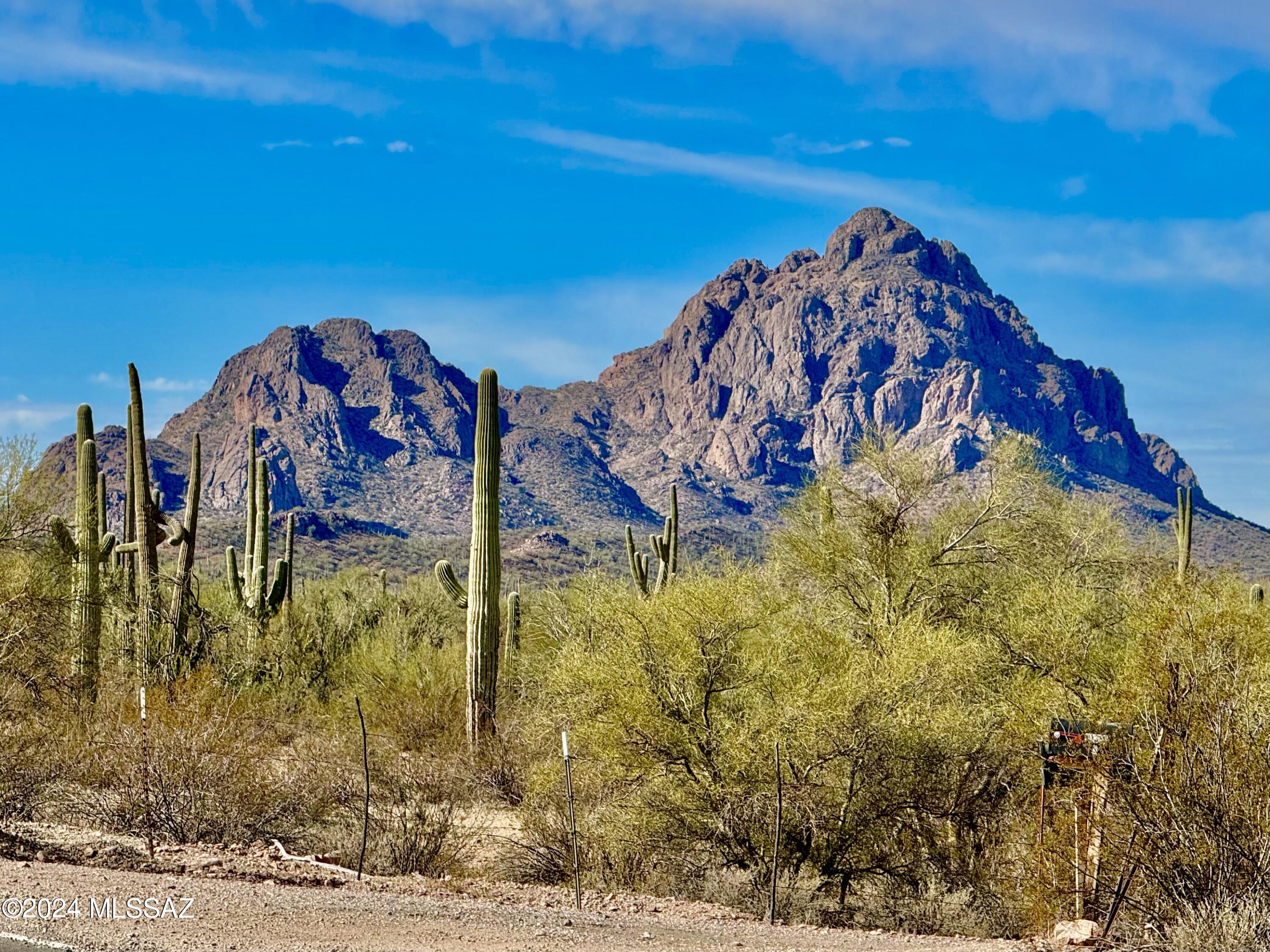 Gorgeous lot bordering bordering Ironwood National Monument West, which is 129,000 acres managed by  the BLM, this lot has it all.  A well share for water, undreground power at the lot line, fully fenced, asphalt road, tall Saguaros, mountain views, and tons of privacy all come with this lot.  Zoned as Rural, you have the freedom to do site built, manufactured, have horses, livestock with tons of room for your toys, RV's, and anything else your hear desires. SELLER FINANCING AVAILABLE