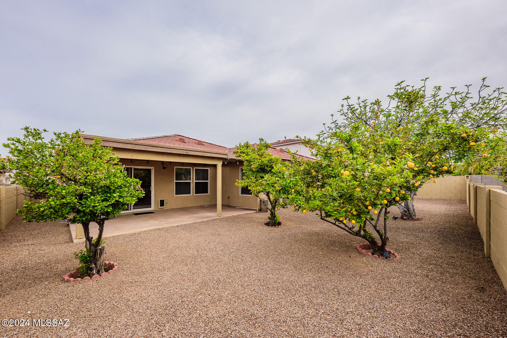 Arizona Madera At Rita Ranch (1-29) - Residential