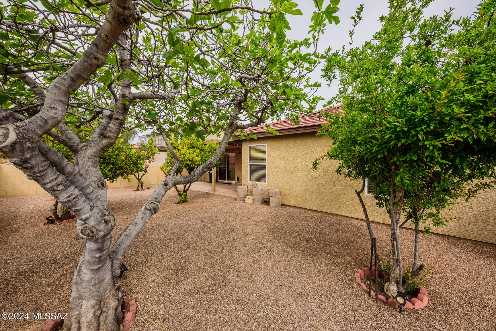 Arizona Madera At Rita Ranch (1-29) - Residential