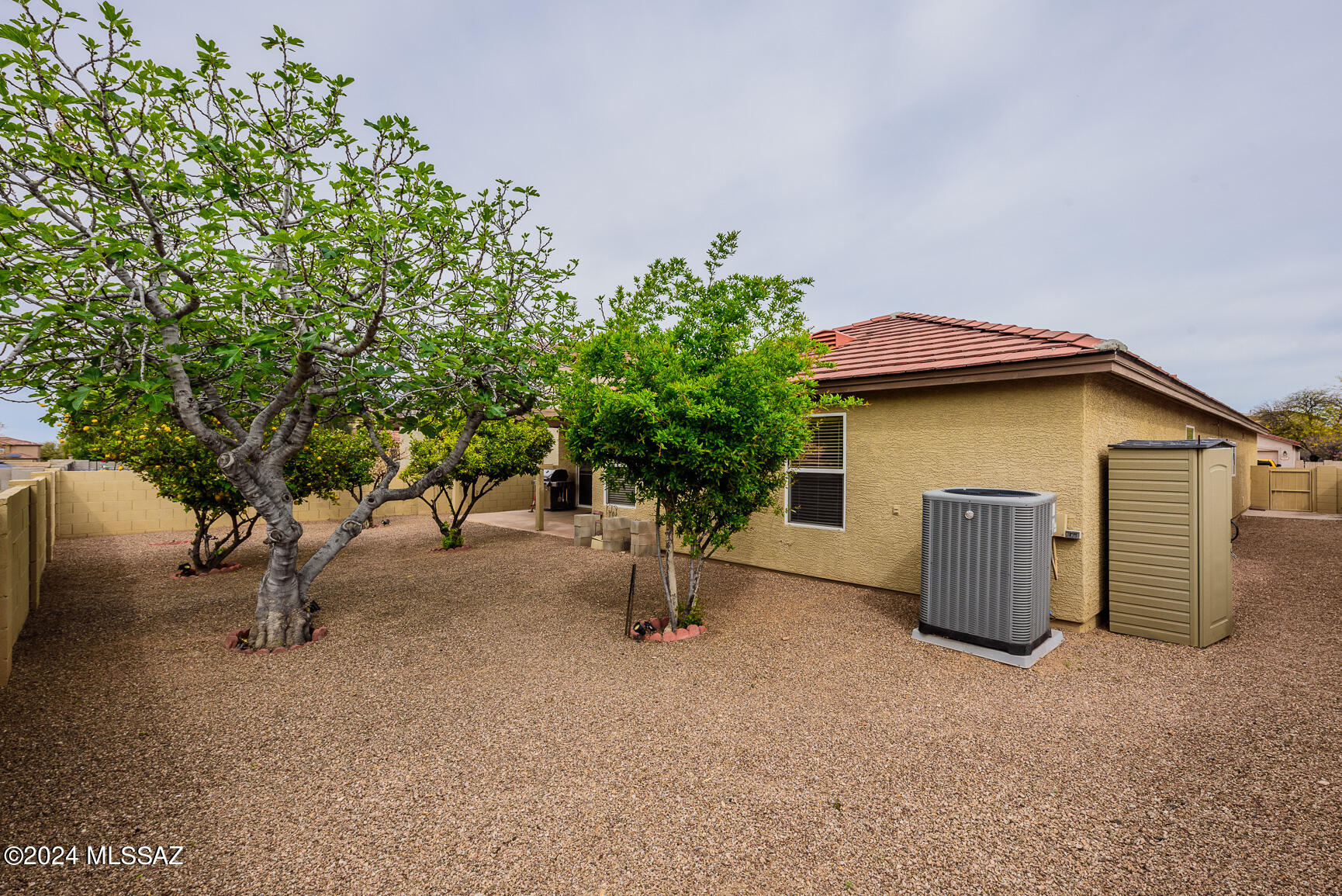 Arizona Madera At Rita Ranch (1-29) - Residential
