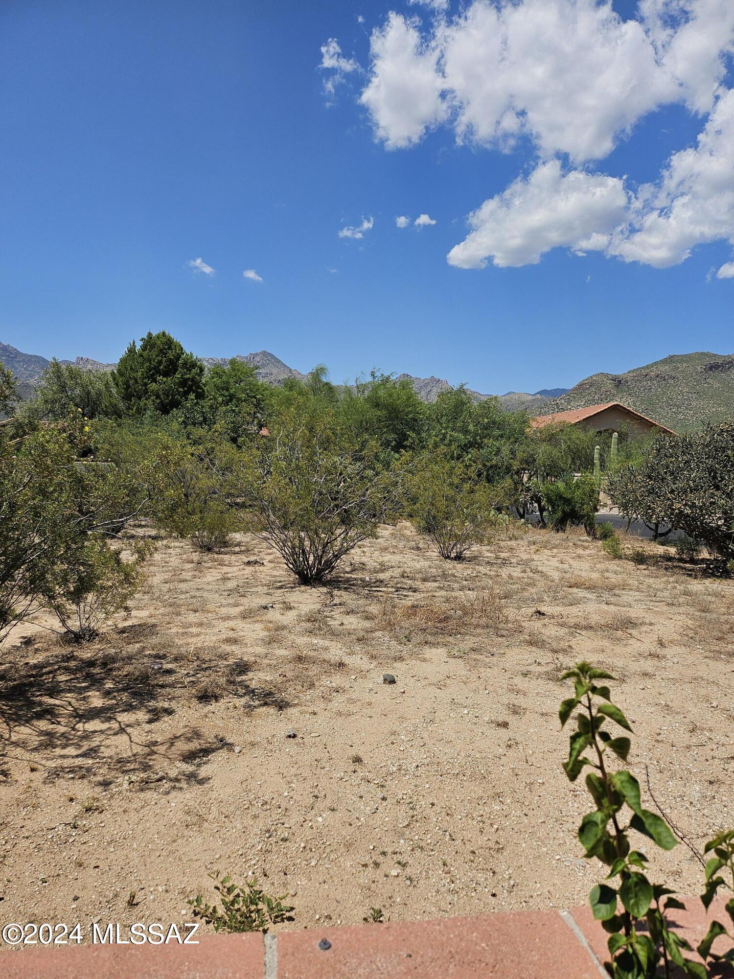 Sabino Canyon Clusters (1-56) - Residential